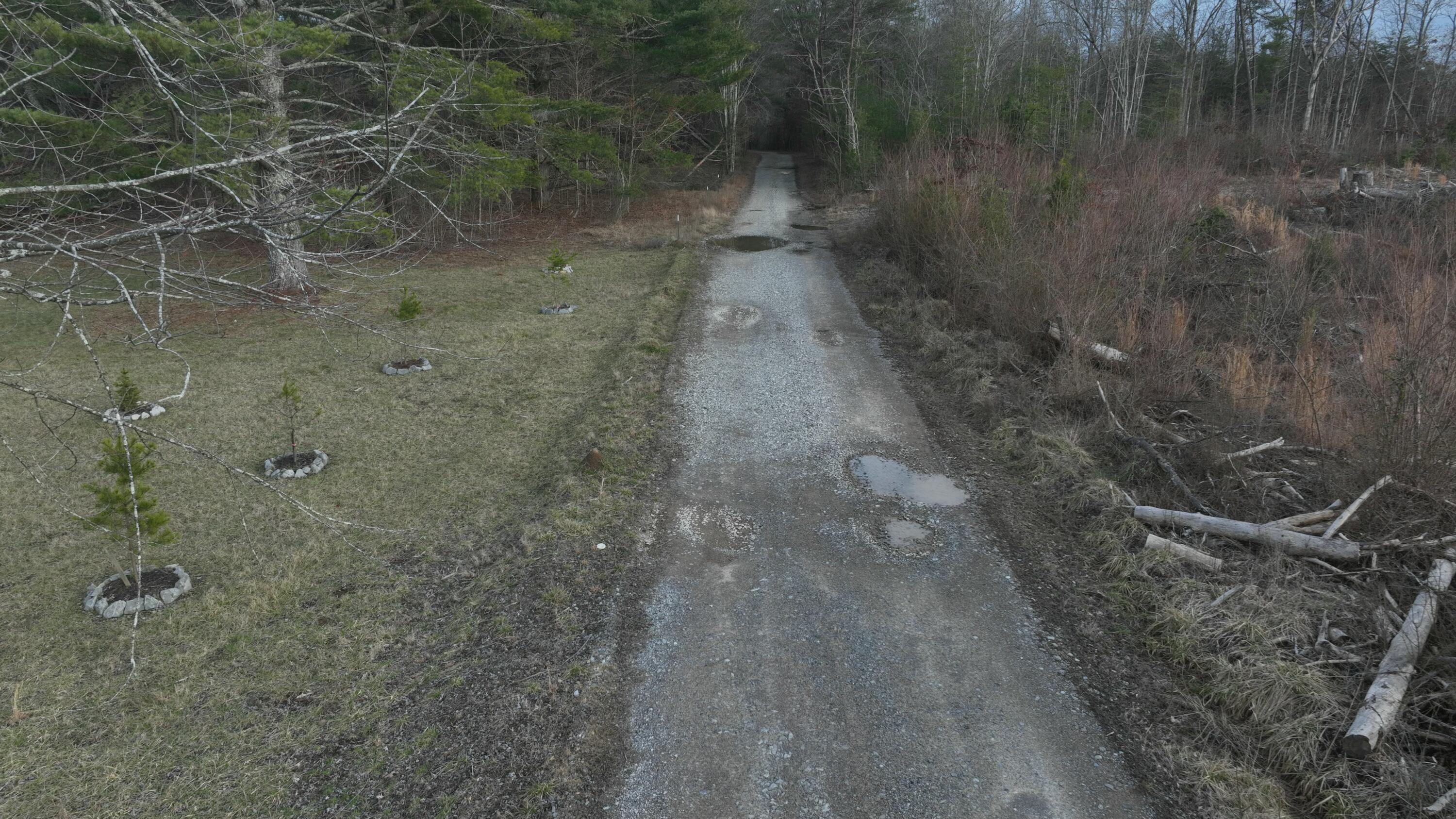 Lickpoint Road, Sequatchie, Tennessee image 8