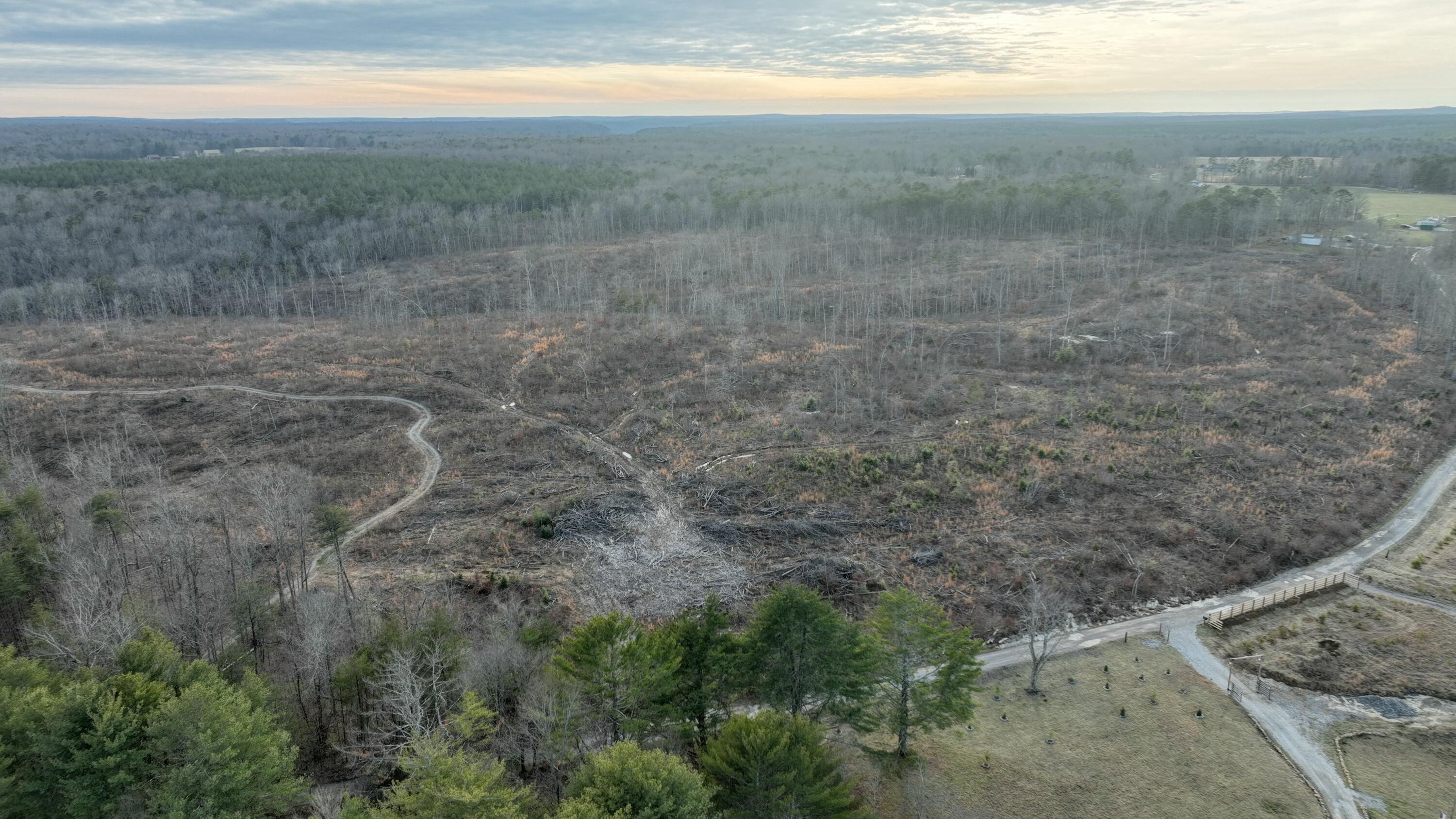 Lickpoint Road, Sequatchie, Tennessee image 1