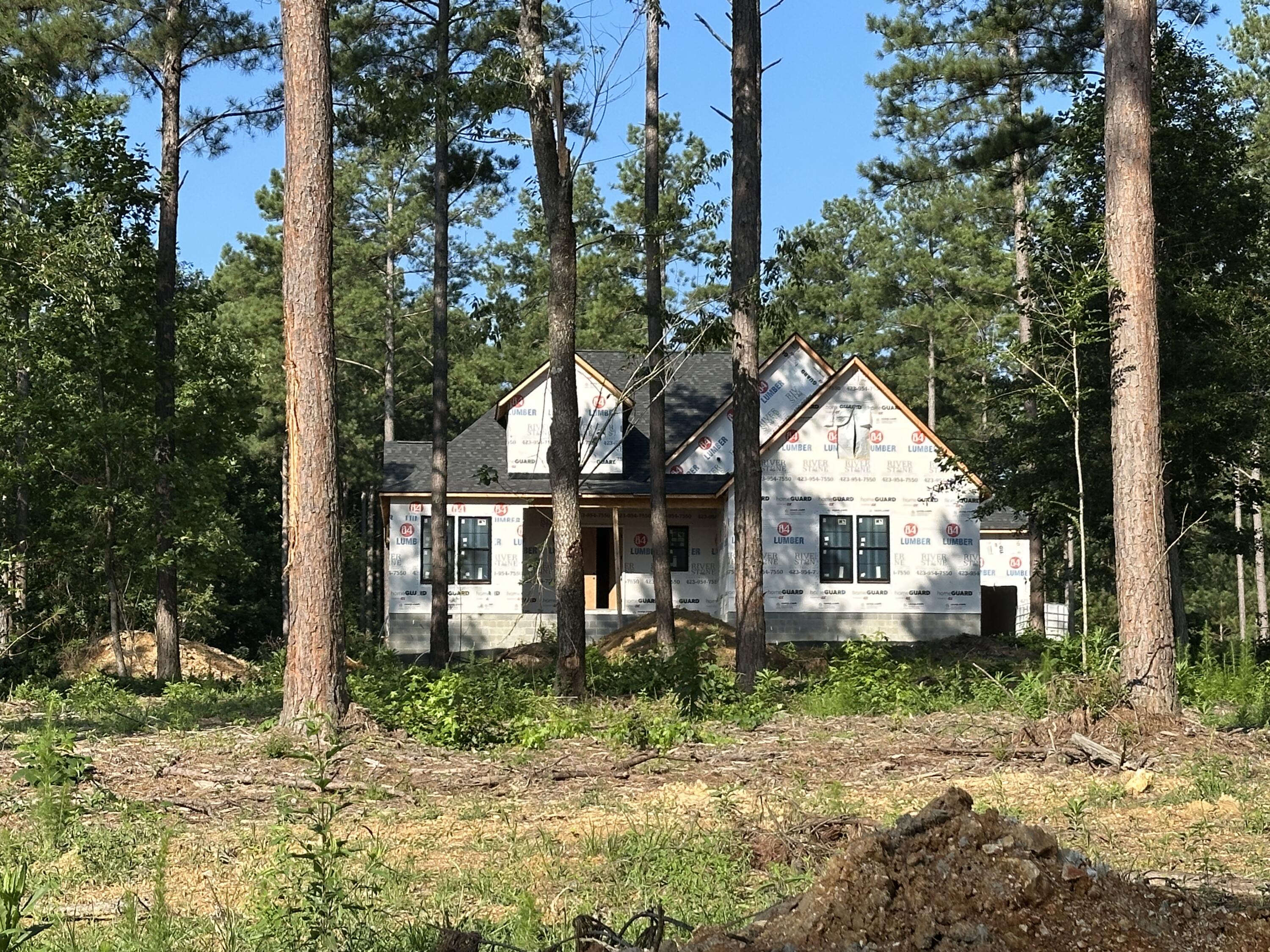 1821 Mccallie Ferry Road - Photo 3