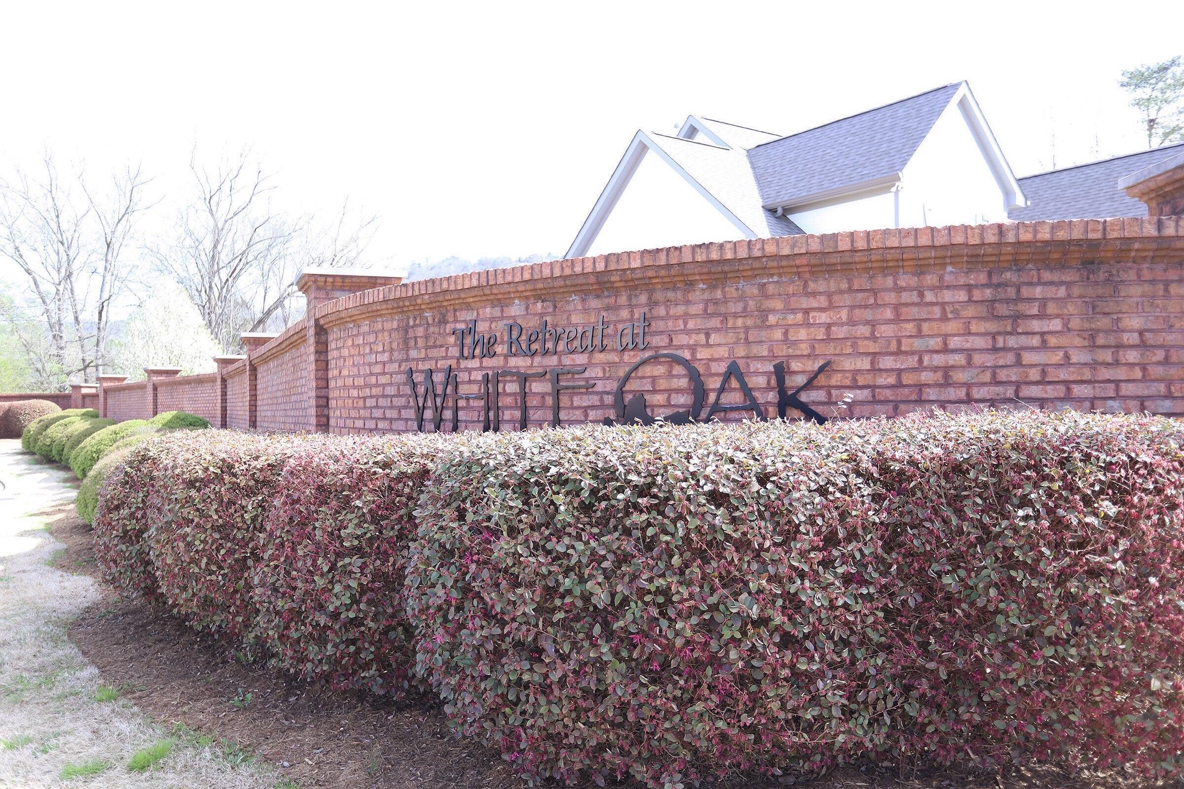 9128 Hartly Place, Ooltewah, Tennessee image 38