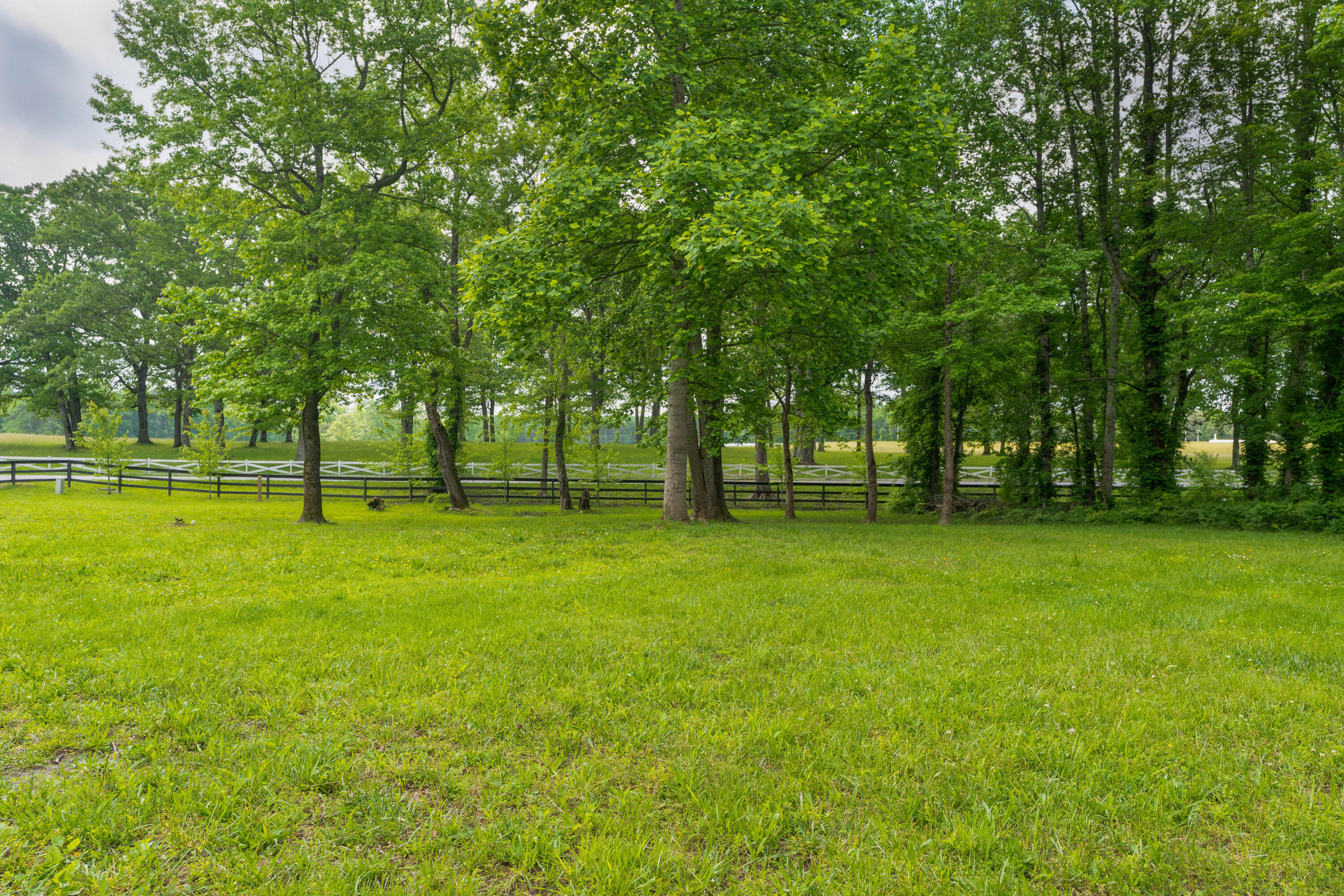 13 Sunset Bluff Way, Monteagle, Tennessee image 9