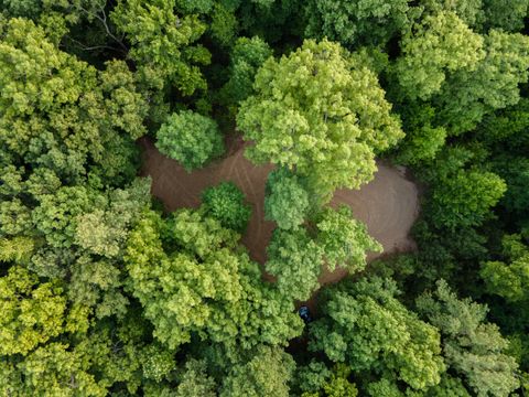 Photo of 0 Lou Road, Pikeville, TN 37367 (MLS # 1514935)