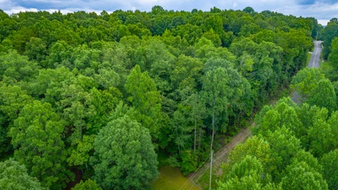 Vacant Land For Sale - 1005 Tanya Drive<br/> Marion County, Whitwell, TN 37397