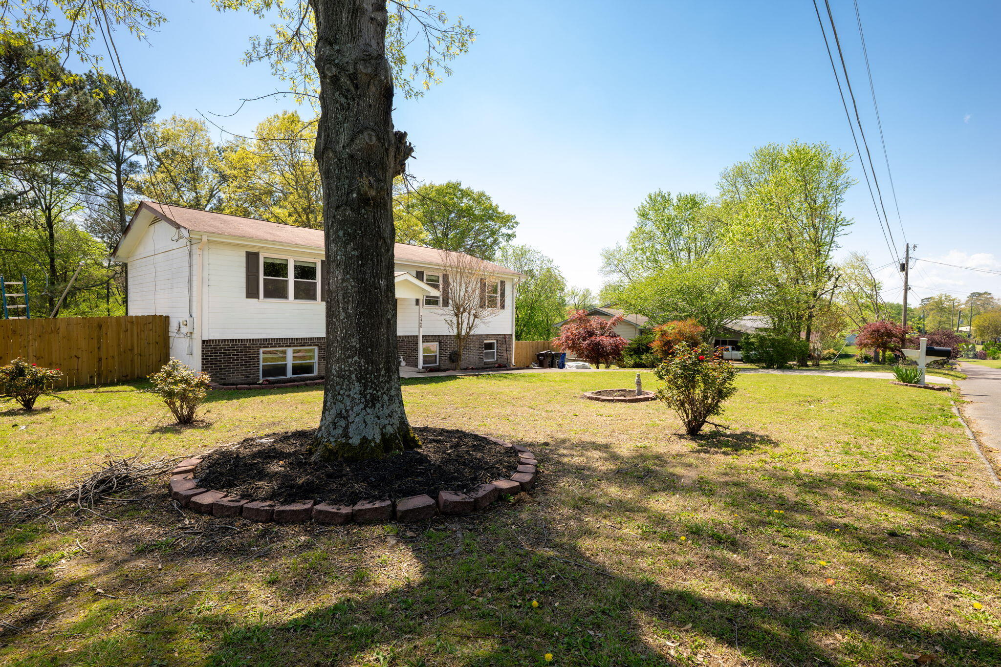 2460 SE Ella Drive, Cleveland, Tennessee image 4