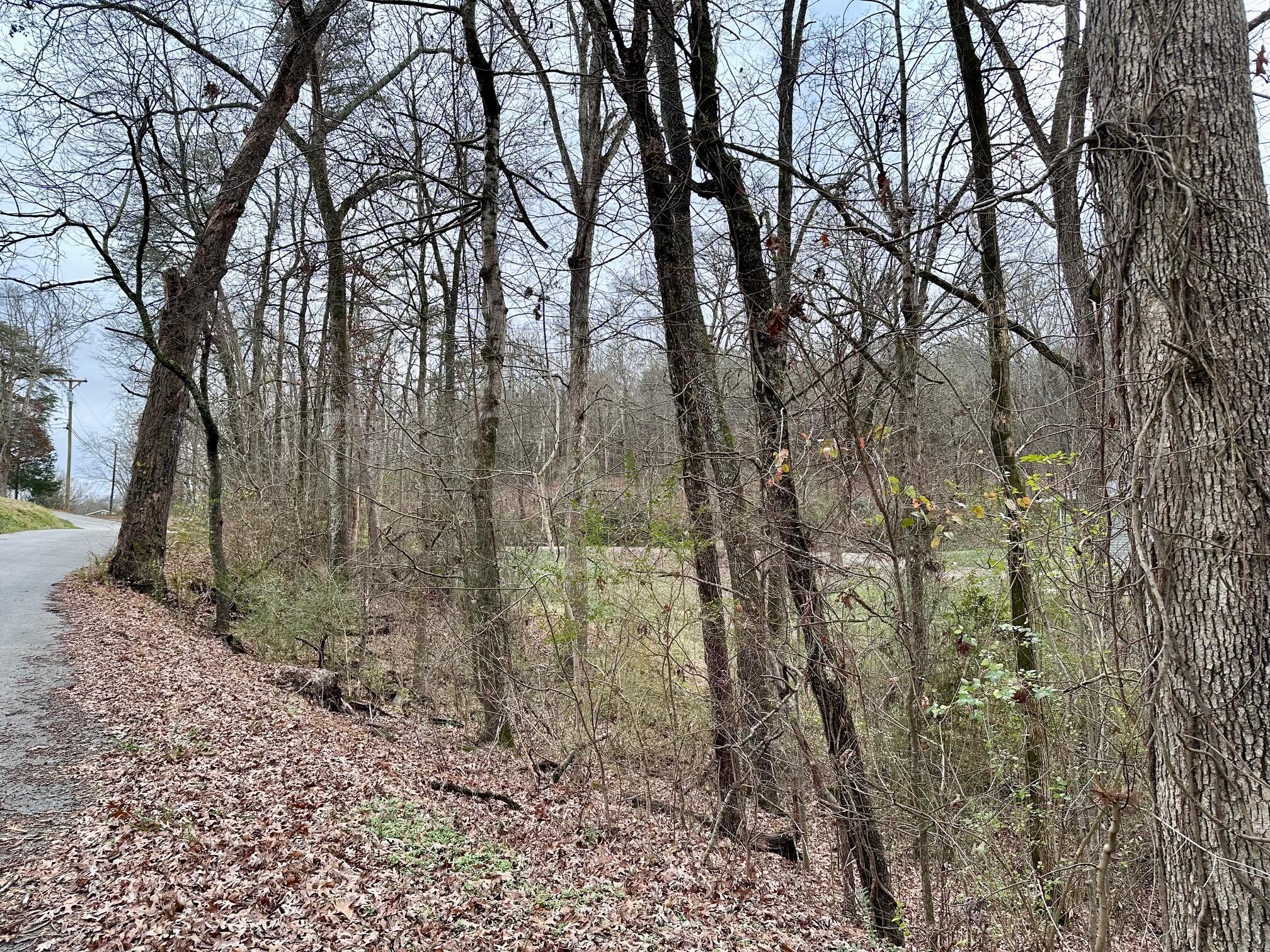 302 Brumlow Hollow Road