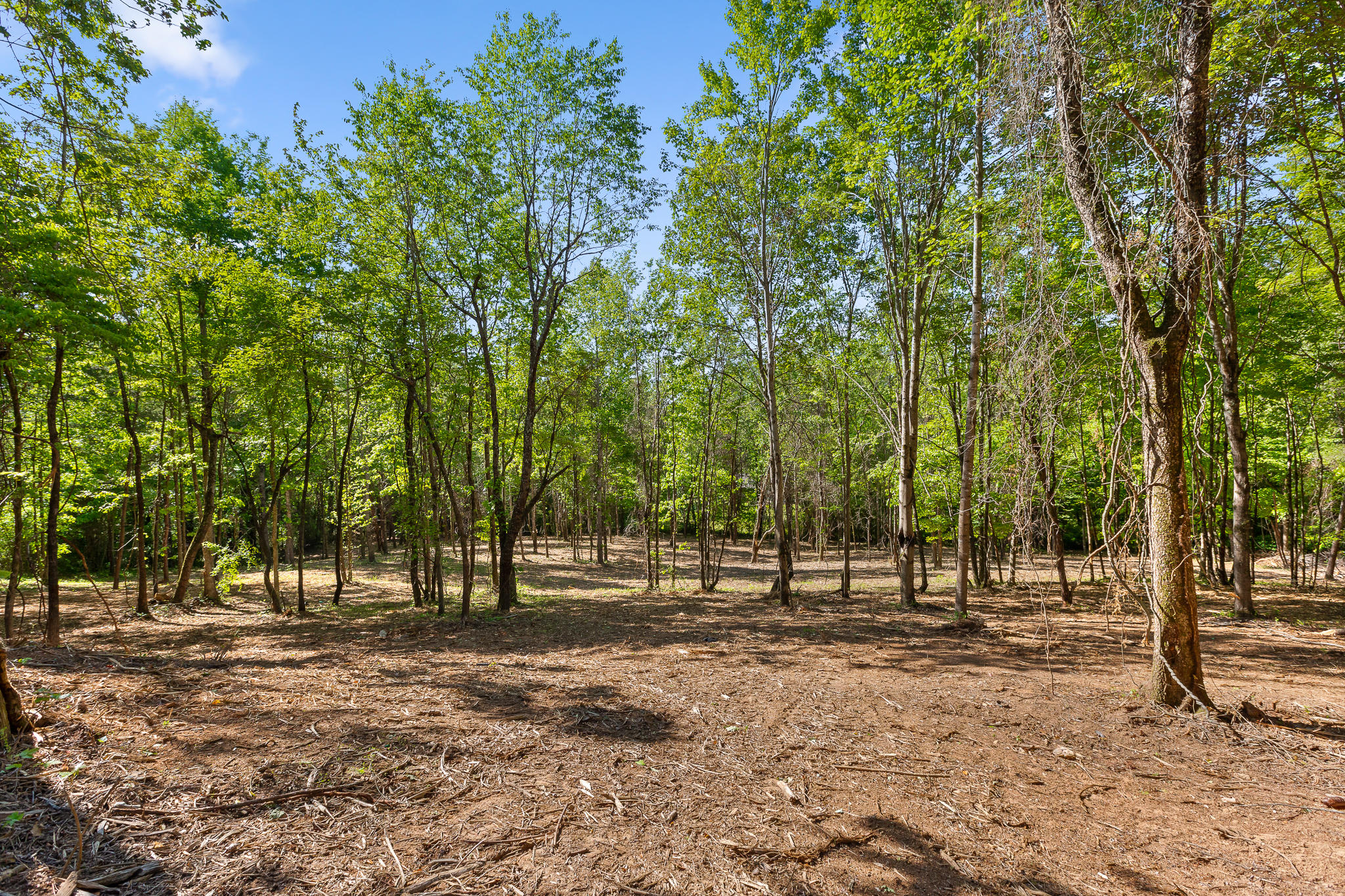 Photo 7 of 23 of Lot 12 Piney View Dr land