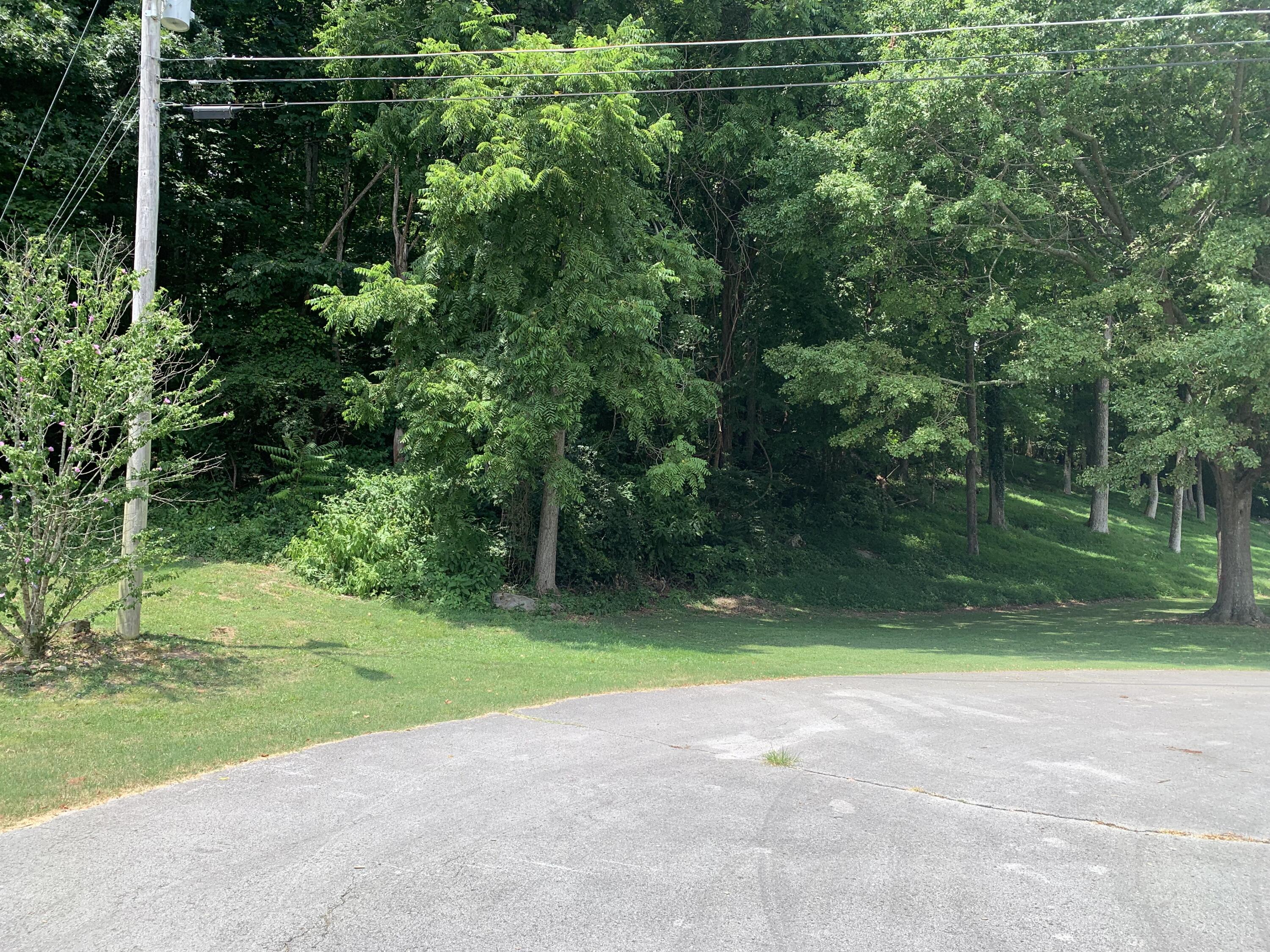 Russell Street #LOT 41, Jasper, Tennessee image 1
