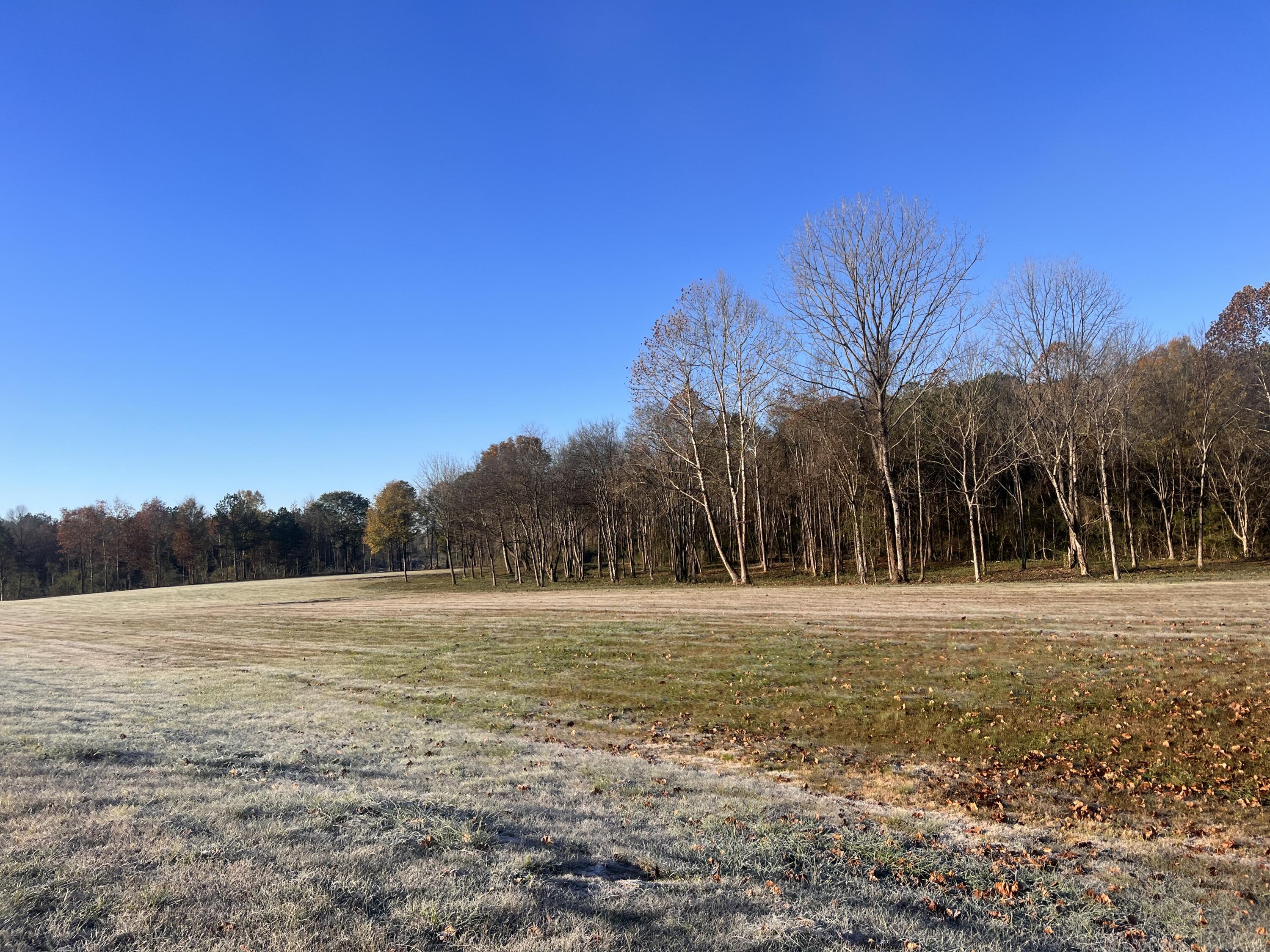 County Road #75, Stevenson, Alabama image 7