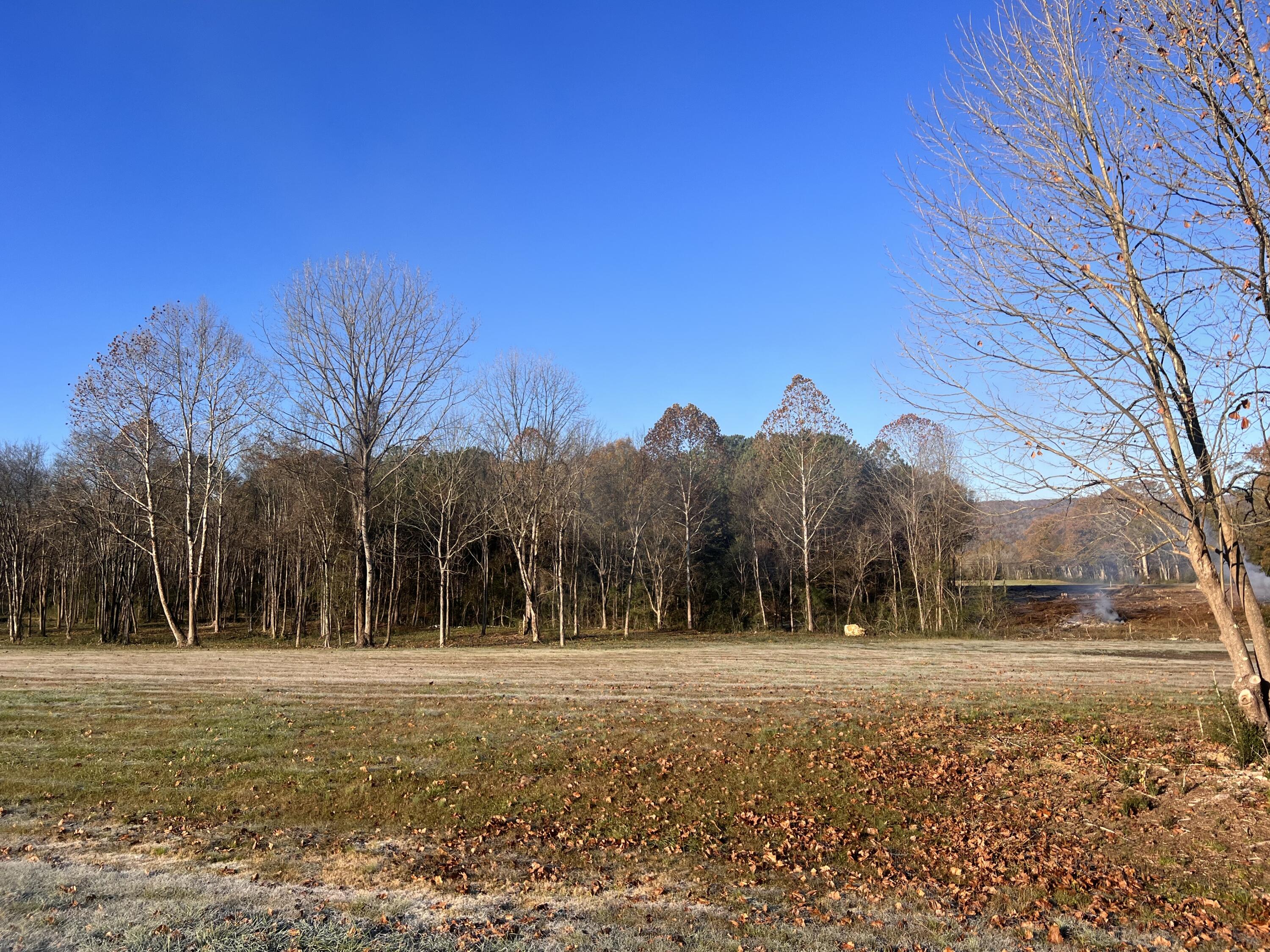 County Road #75, Stevenson, Alabama image 6