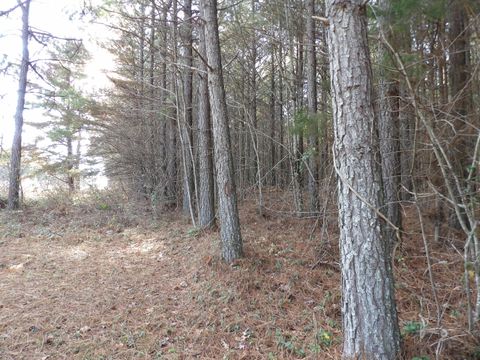 Vacant Land For Sale - LOT 22 Summercity Road<br/> Evensville, TN 37332