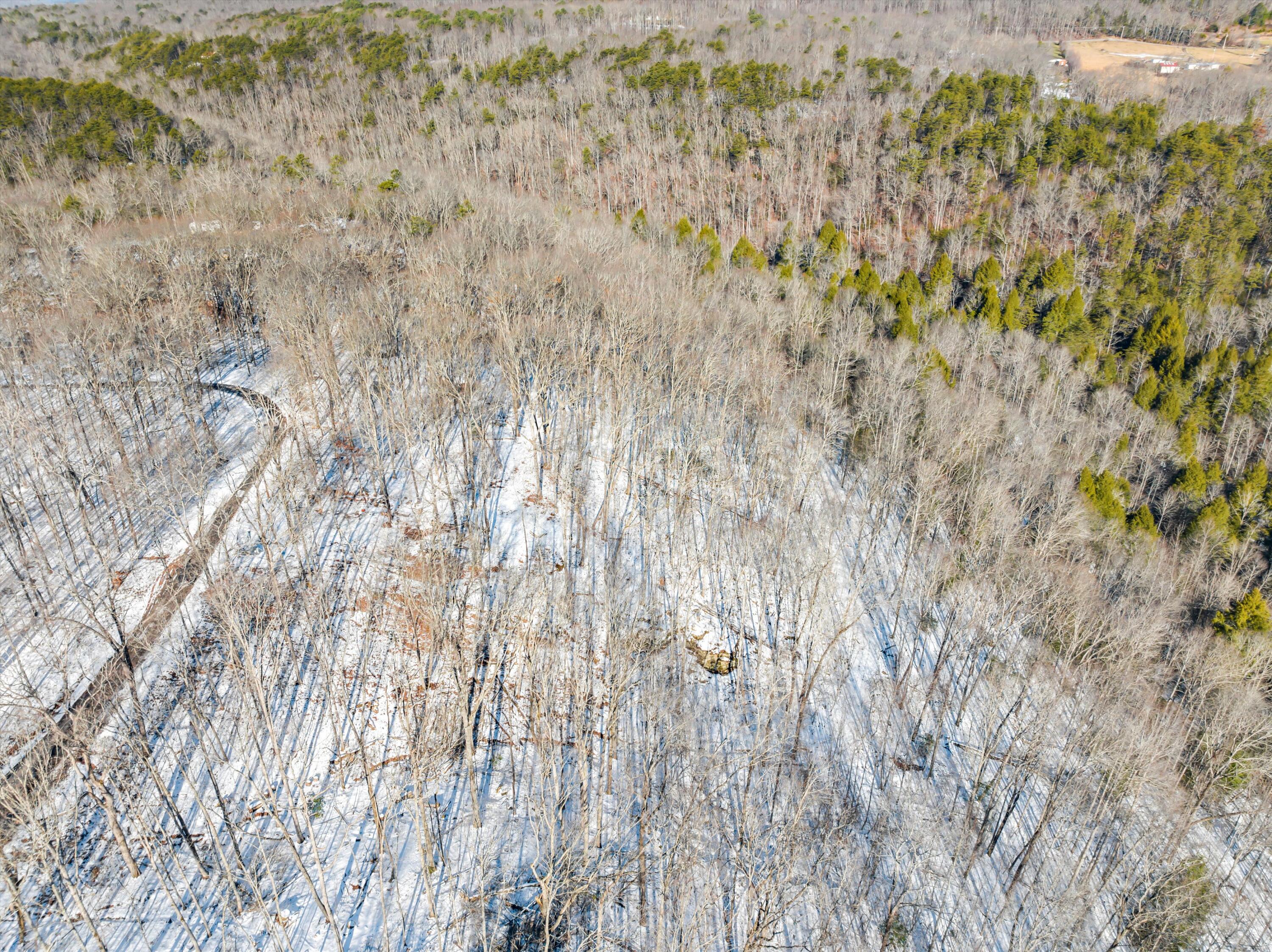 Lot 244 Ski View Drive, Dunlap, Tennessee image 6