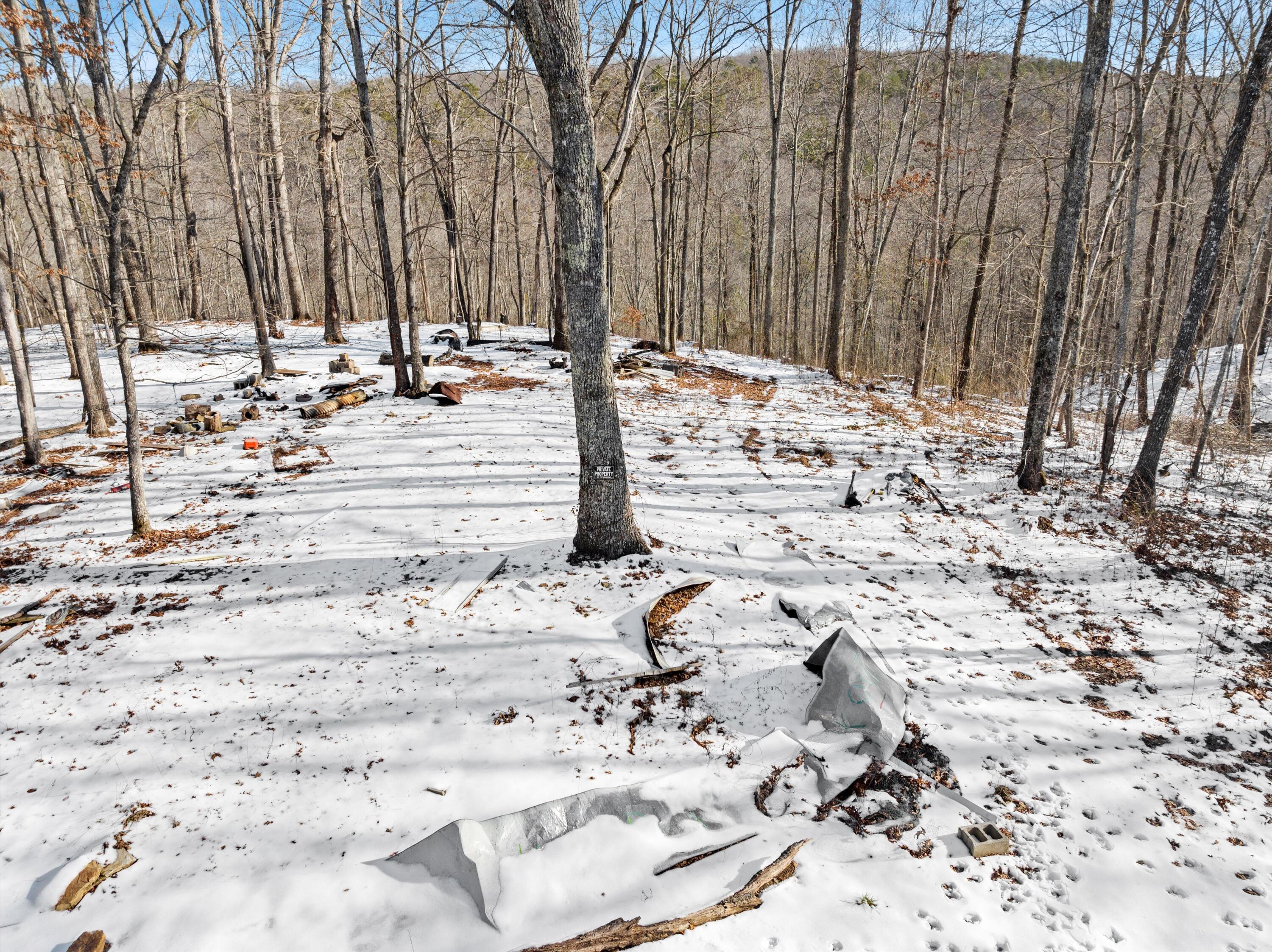 Lot 244 Ski View Drive, Dunlap, Tennessee image 12