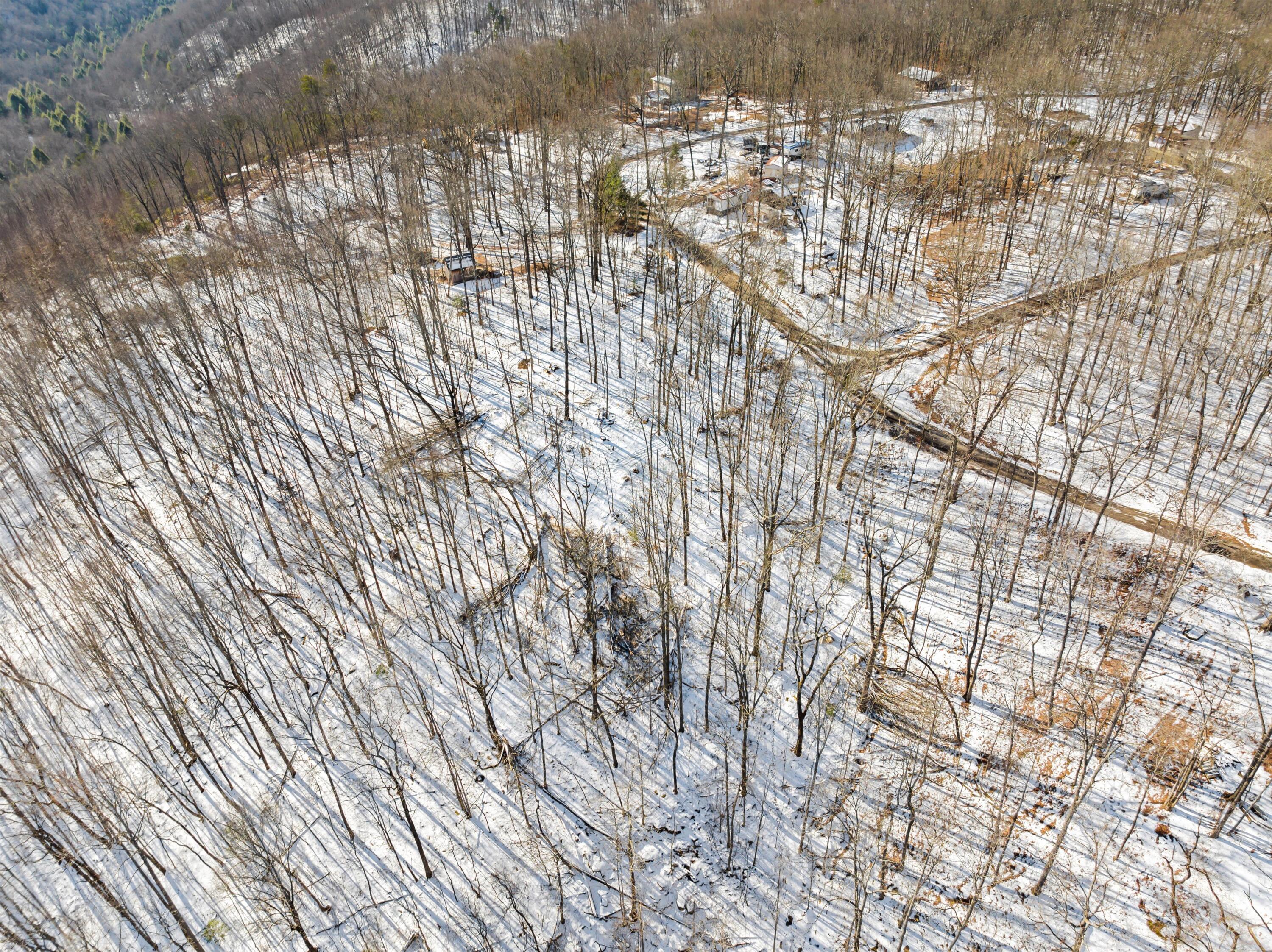 Lot 244 Ski View Drive, Dunlap, Tennessee image 11