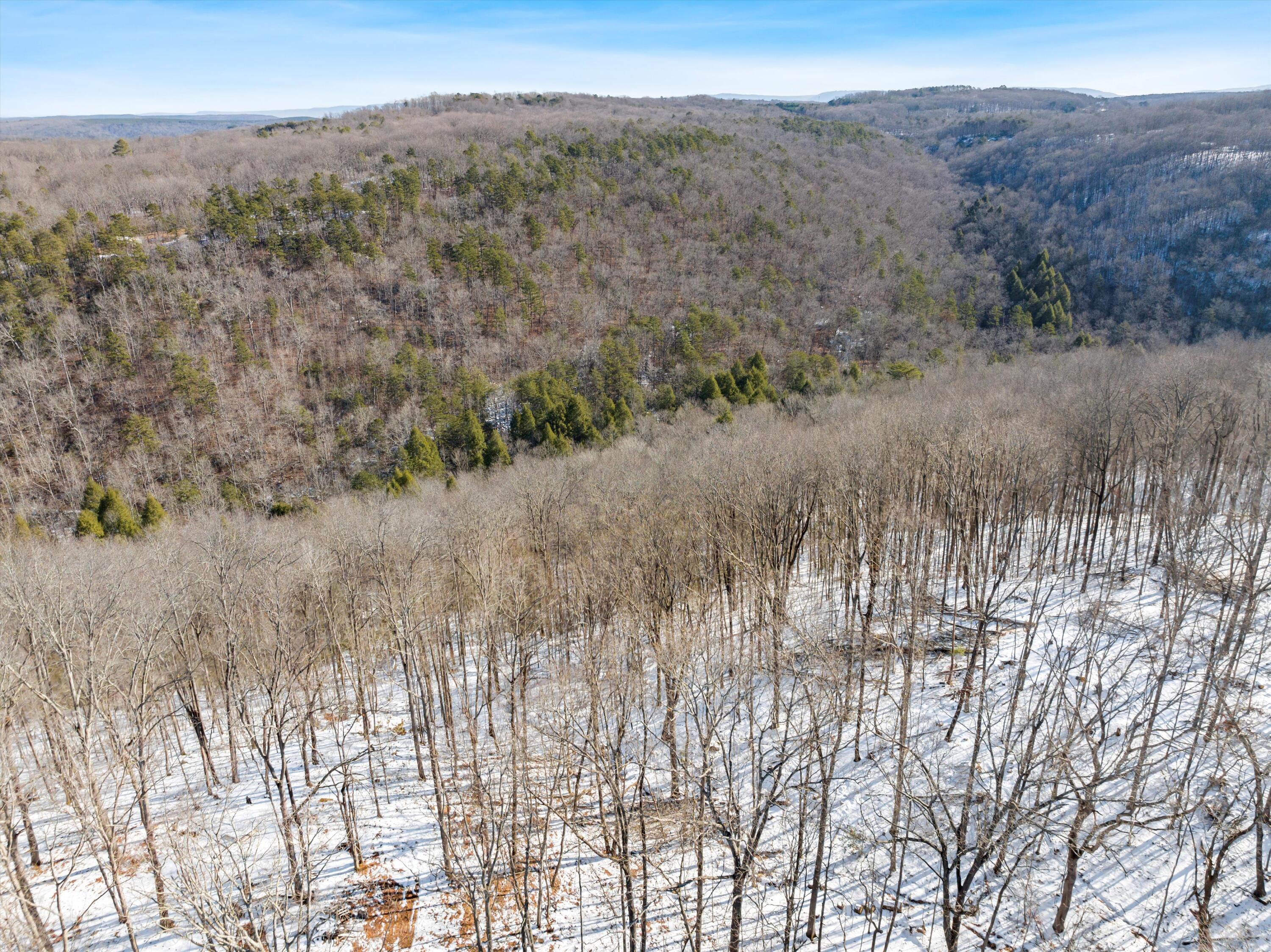 Lot 244 Ski View Drive, Dunlap, Tennessee image 4