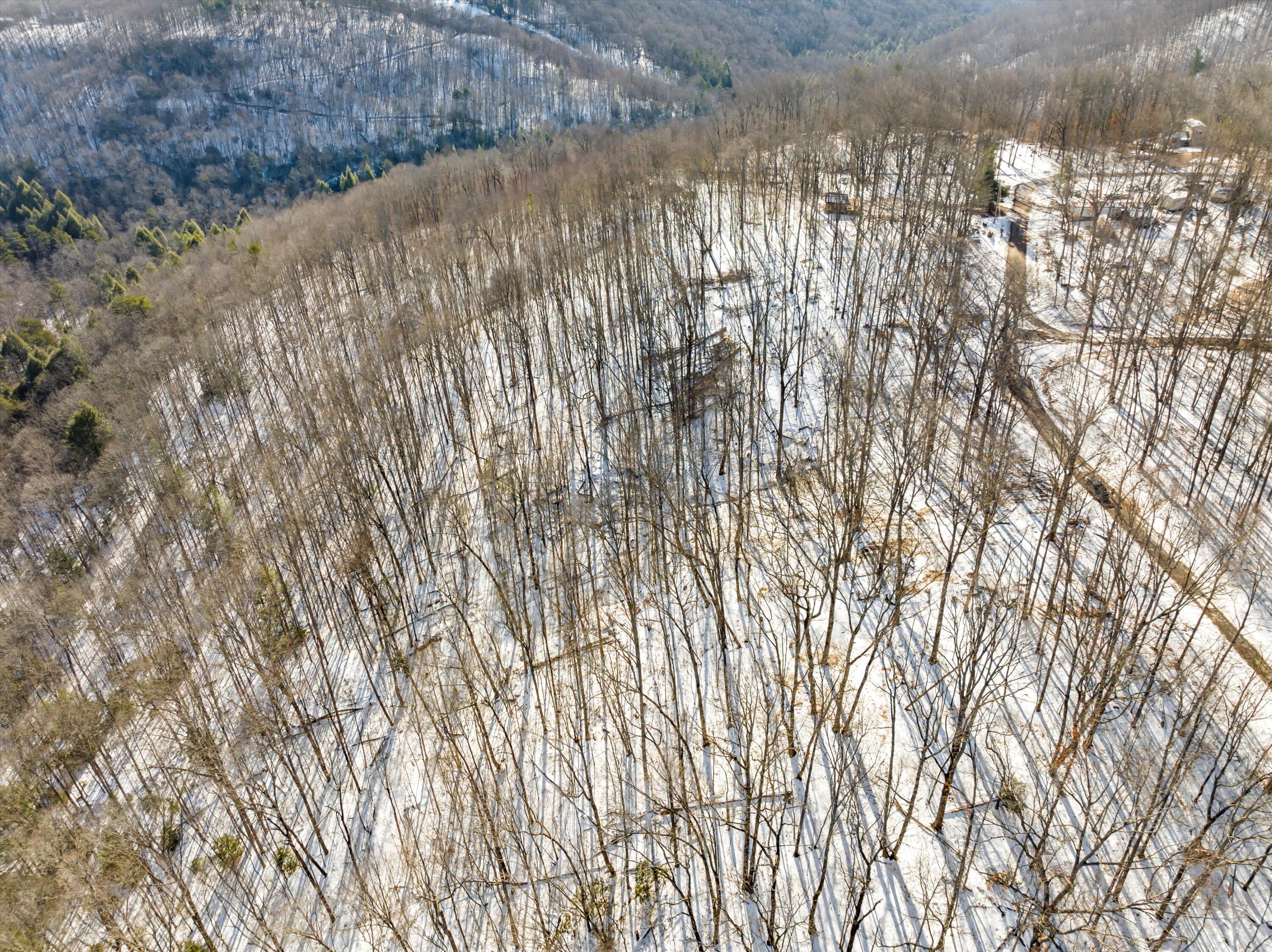 Lot 244 Ski View Drive, Dunlap, Tennessee image 3