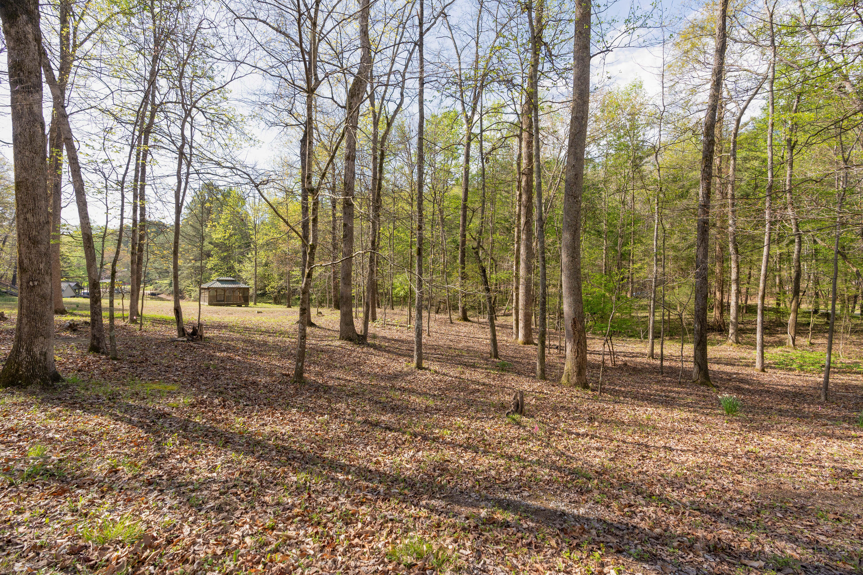 13300 Bellacoola Road, Soddy Daisy, Tennessee image 11