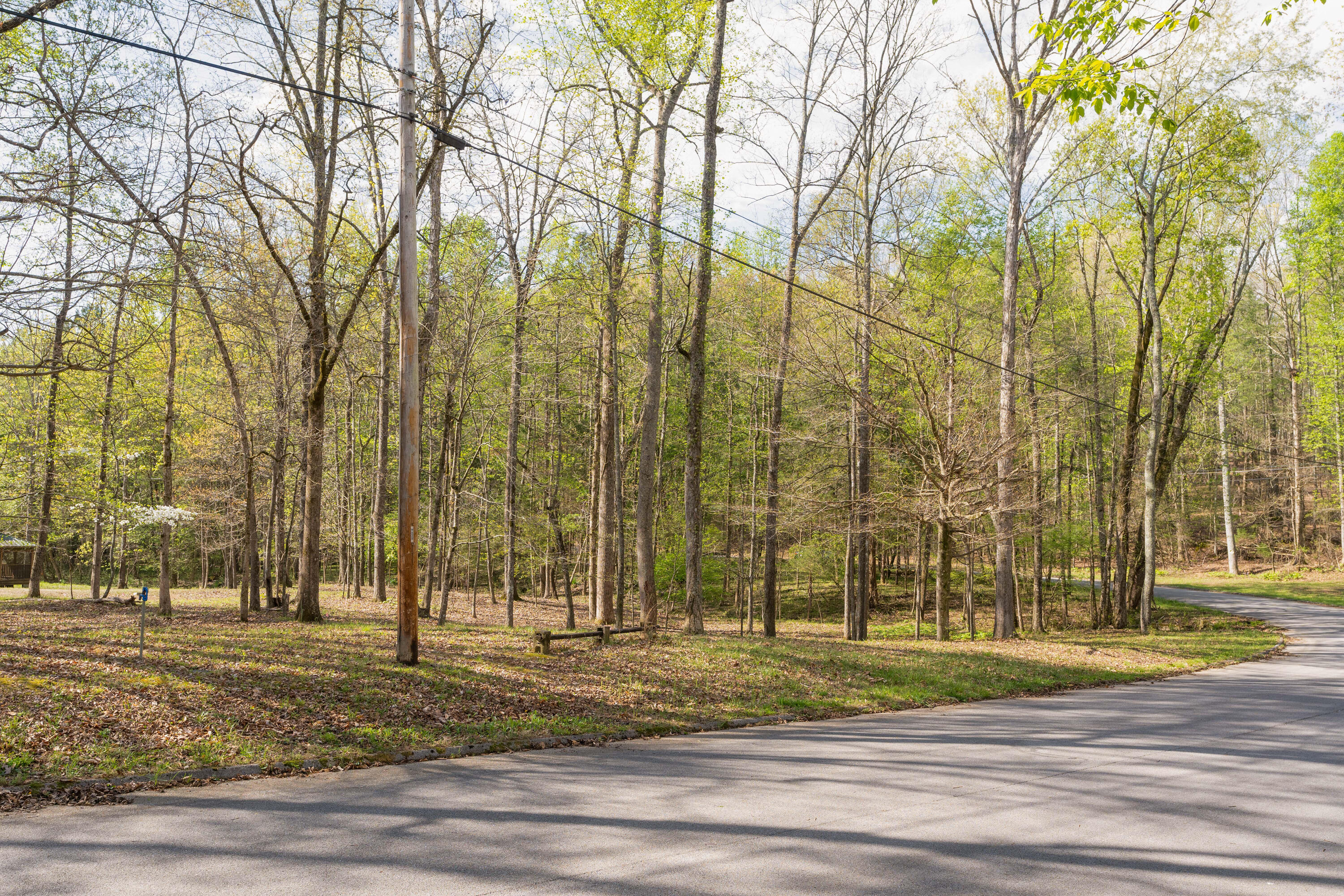 13300 Bellacoola Road, Soddy Daisy, Tennessee image 10