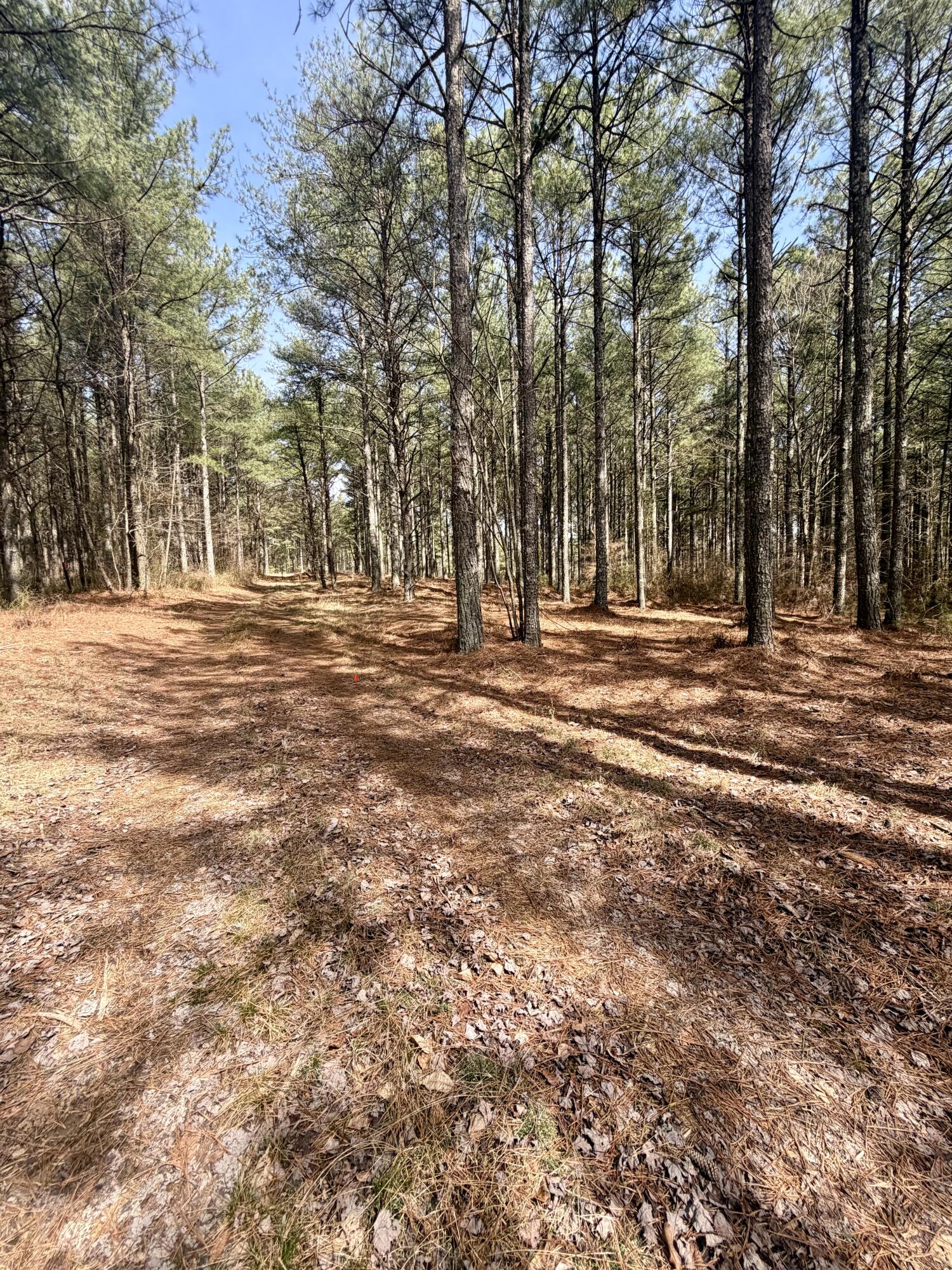 2076 Meditation Lane