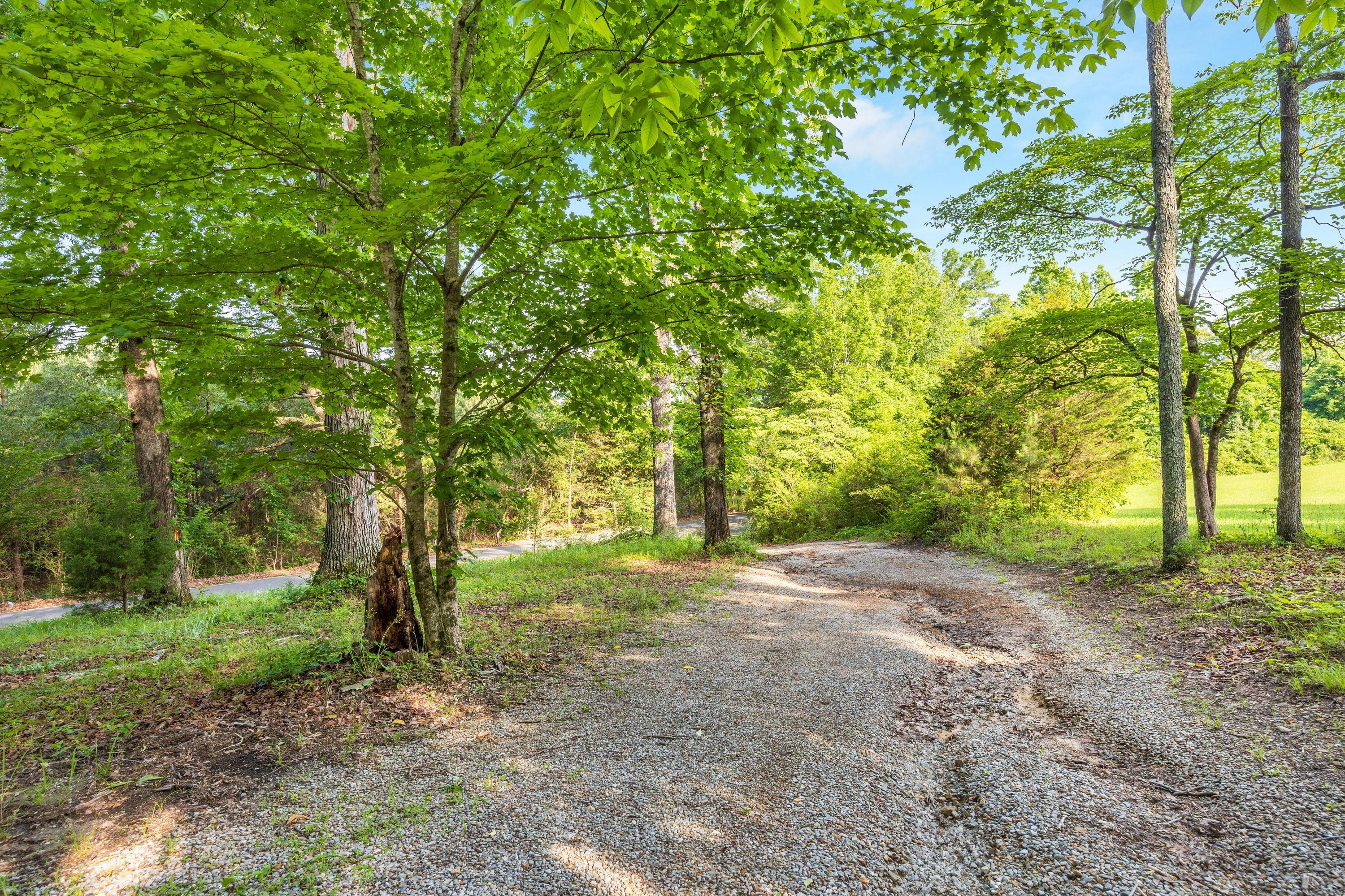 4600 Alabama Road, Apison, Tennessee image 16