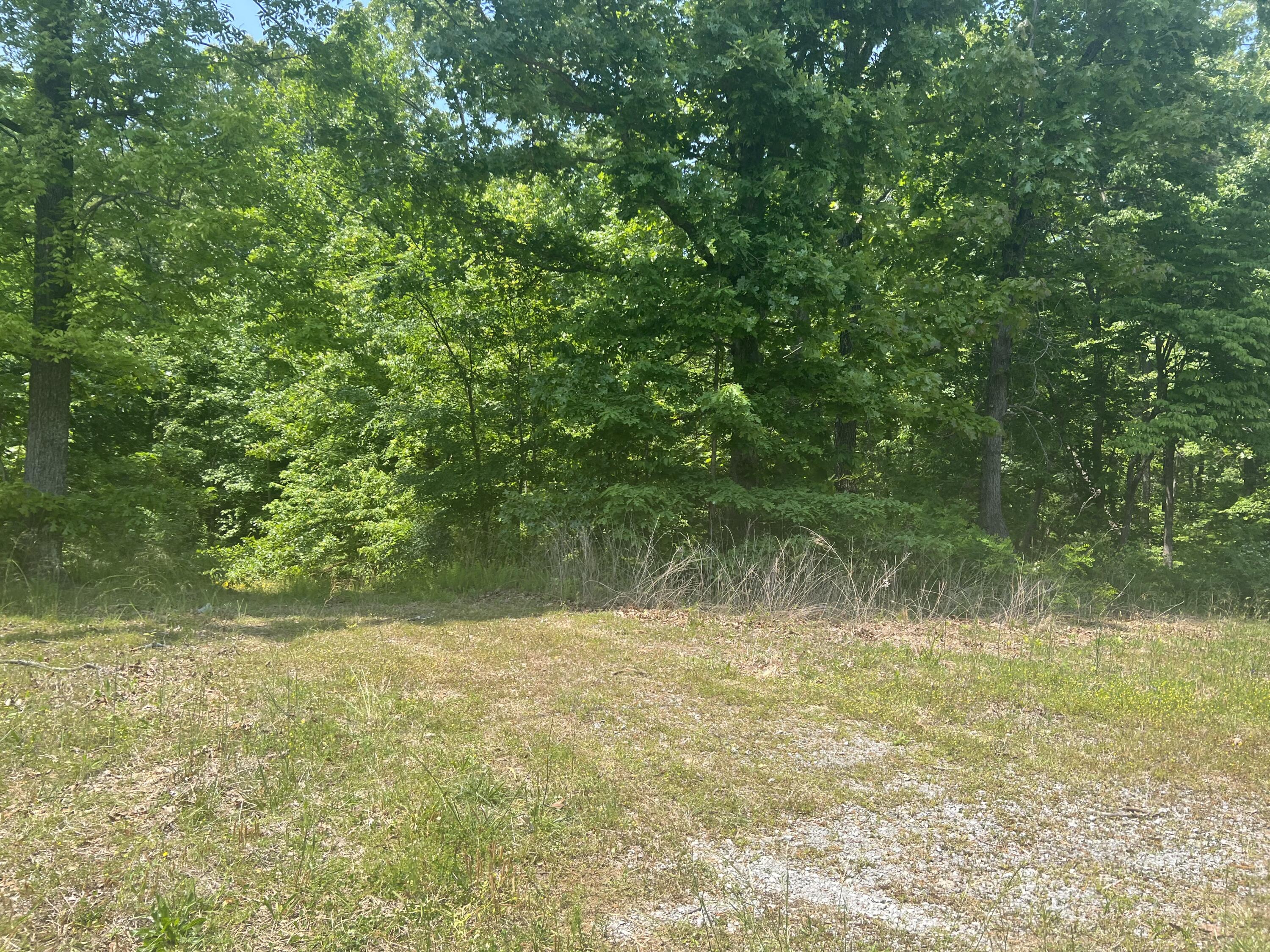 169 Prince Road, Trenton, Georgia image 5