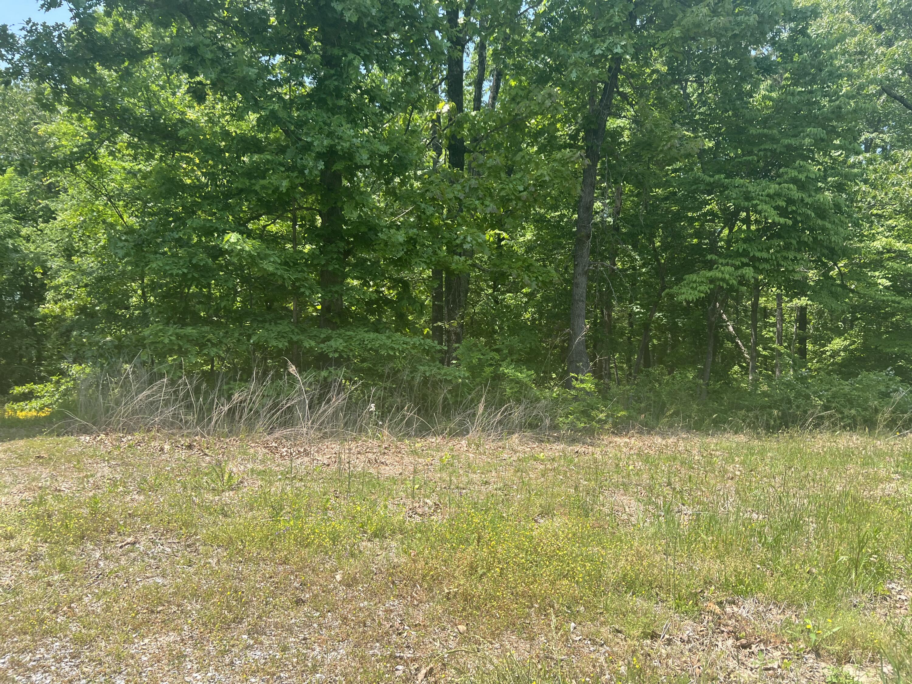 169 Prince Road, Trenton, Georgia image 4
