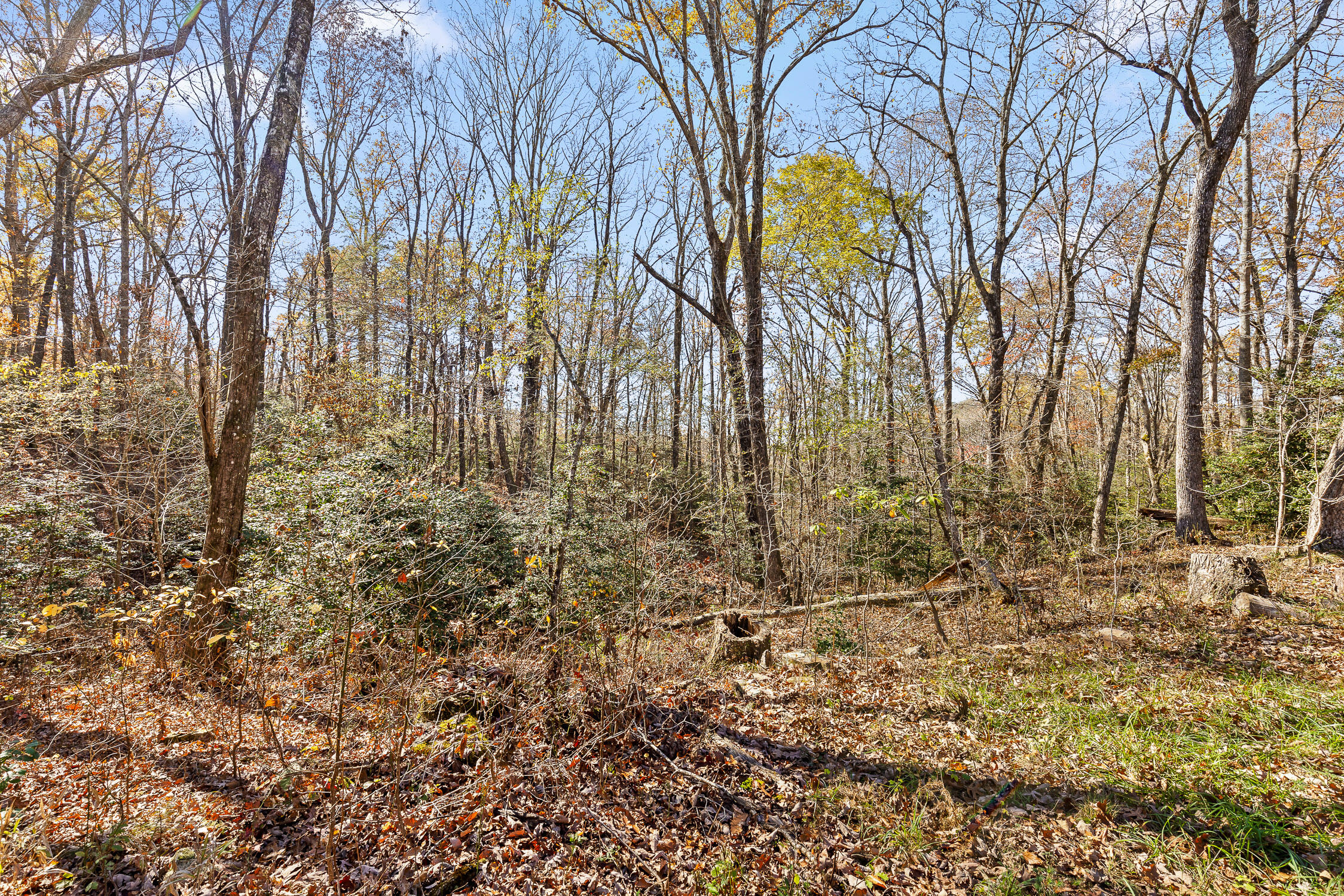 1805 Vandergriff Road, Signal Mountain, Tennessee image 8