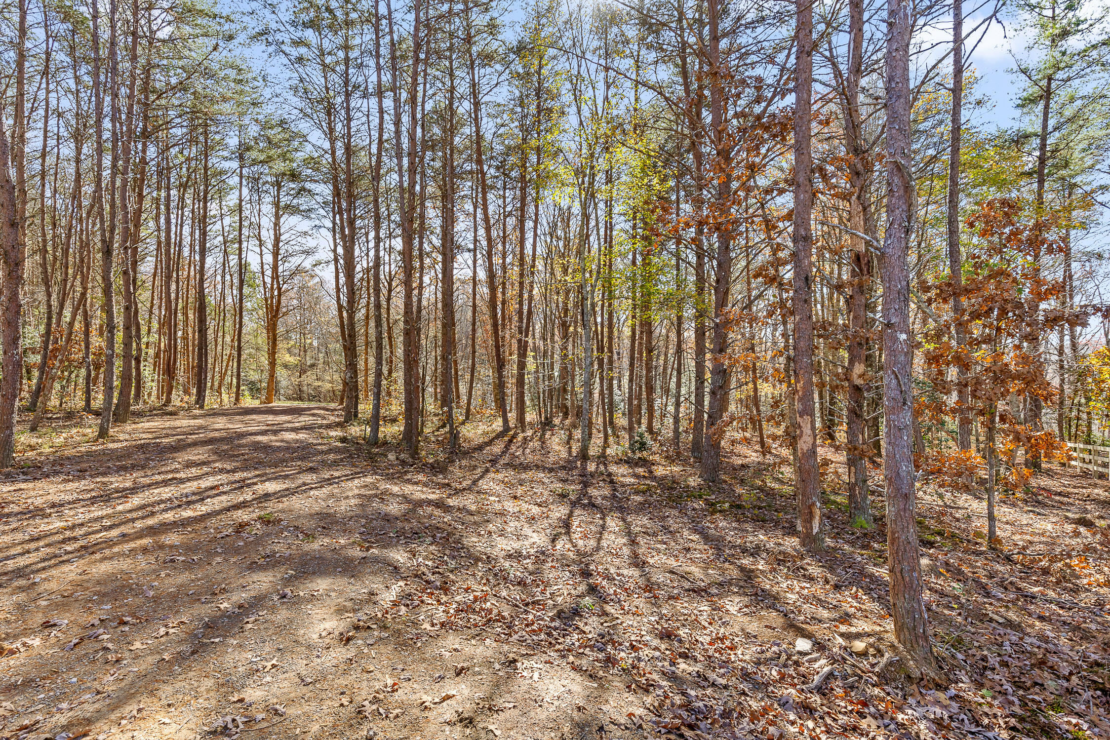 1805 Vandergriff Road, Signal Mountain, Tennessee image 2
