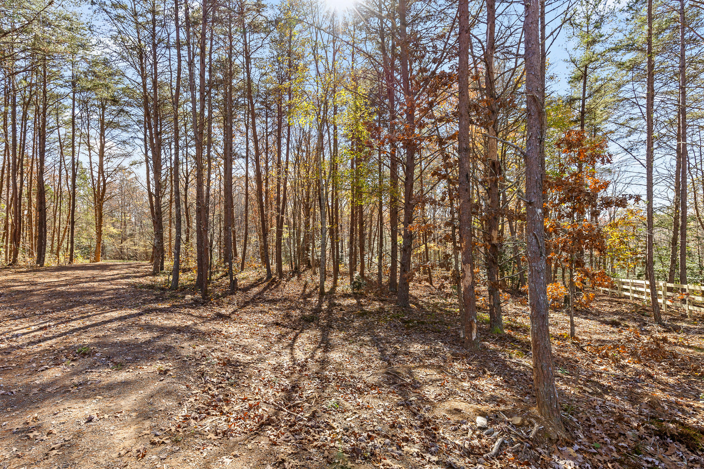 1805 Vandergriff Road, Signal Mountain, Tennessee image 14