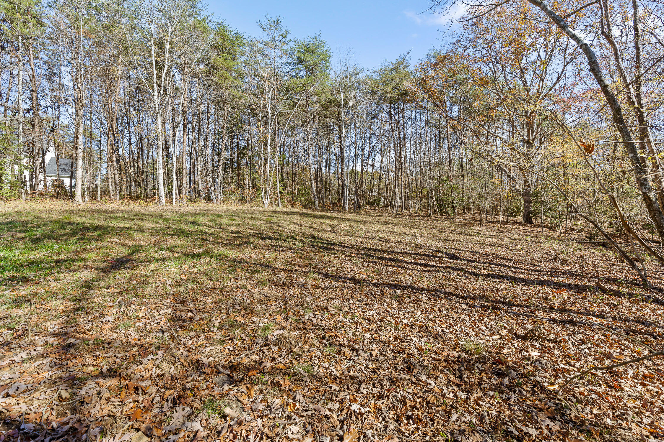 1805 Vandergriff Road, Signal Mountain, Tennessee image 9