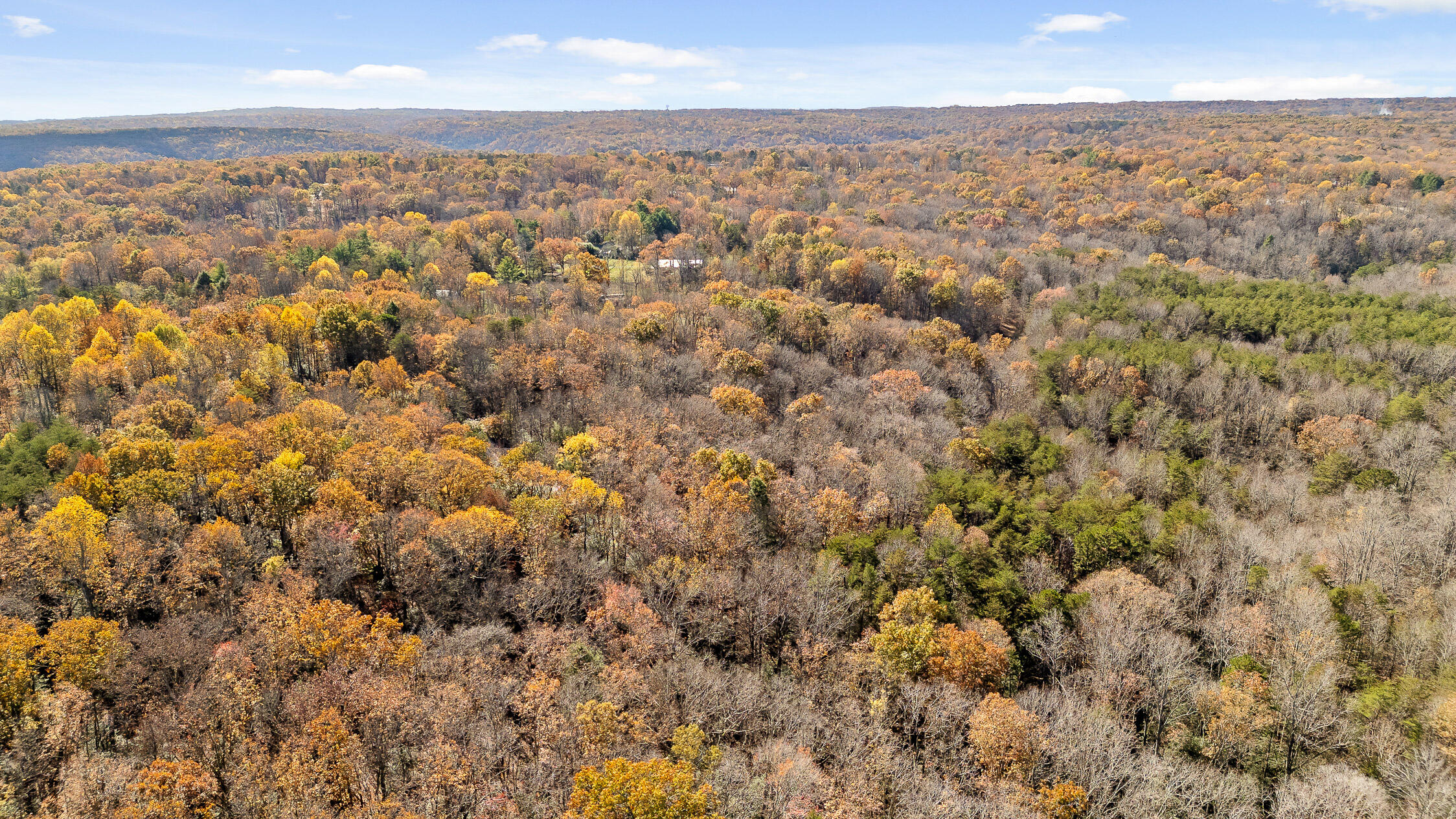 1805 Vandergriff Road, Signal Mountain, Tennessee image 23