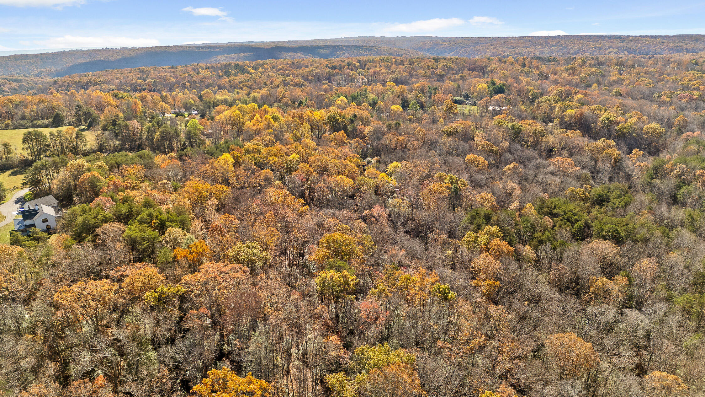 1805 Vandergriff Road, Signal Mountain, Tennessee image 22