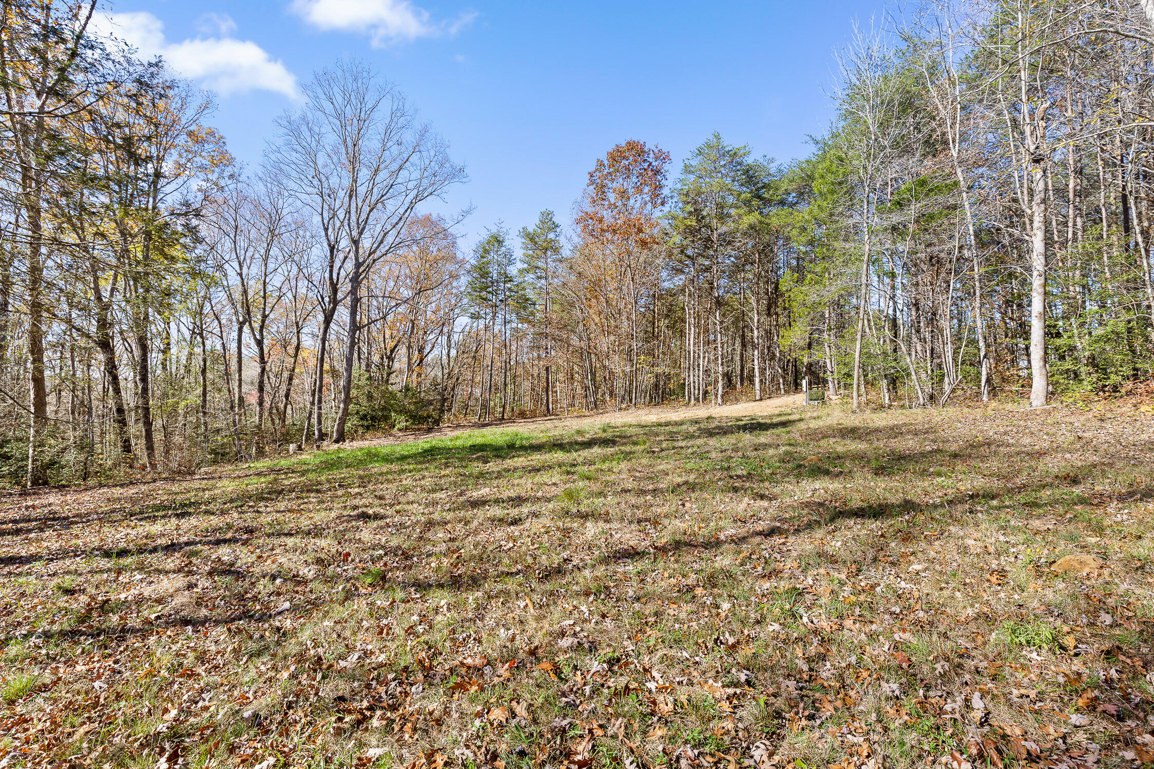 1805 Vandergriff Road, Signal Mountain, Tennessee image 12