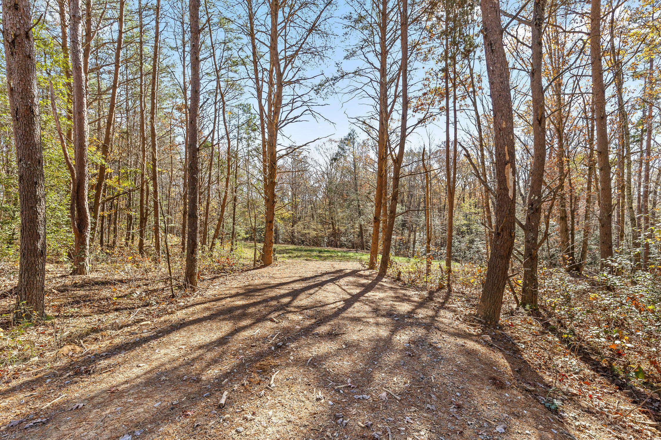 1805 Vandergriff Road, Signal Mountain, Tennessee image 3