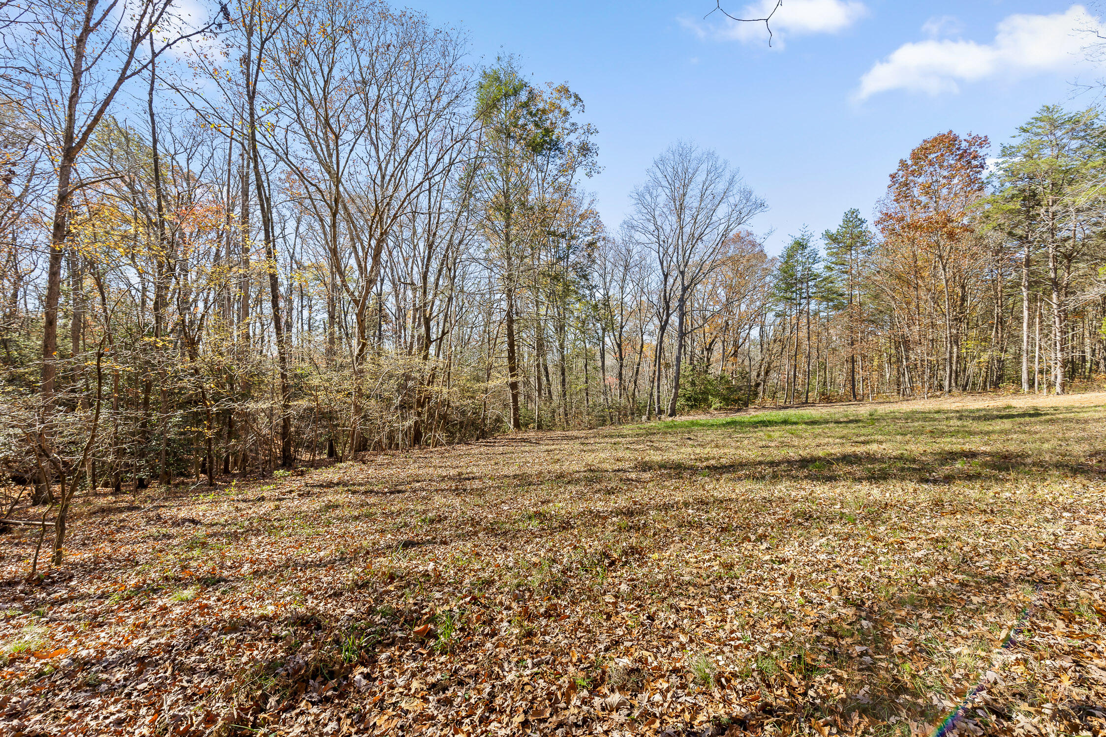 1805 Vandergriff Road, Signal Mountain, Tennessee image 11