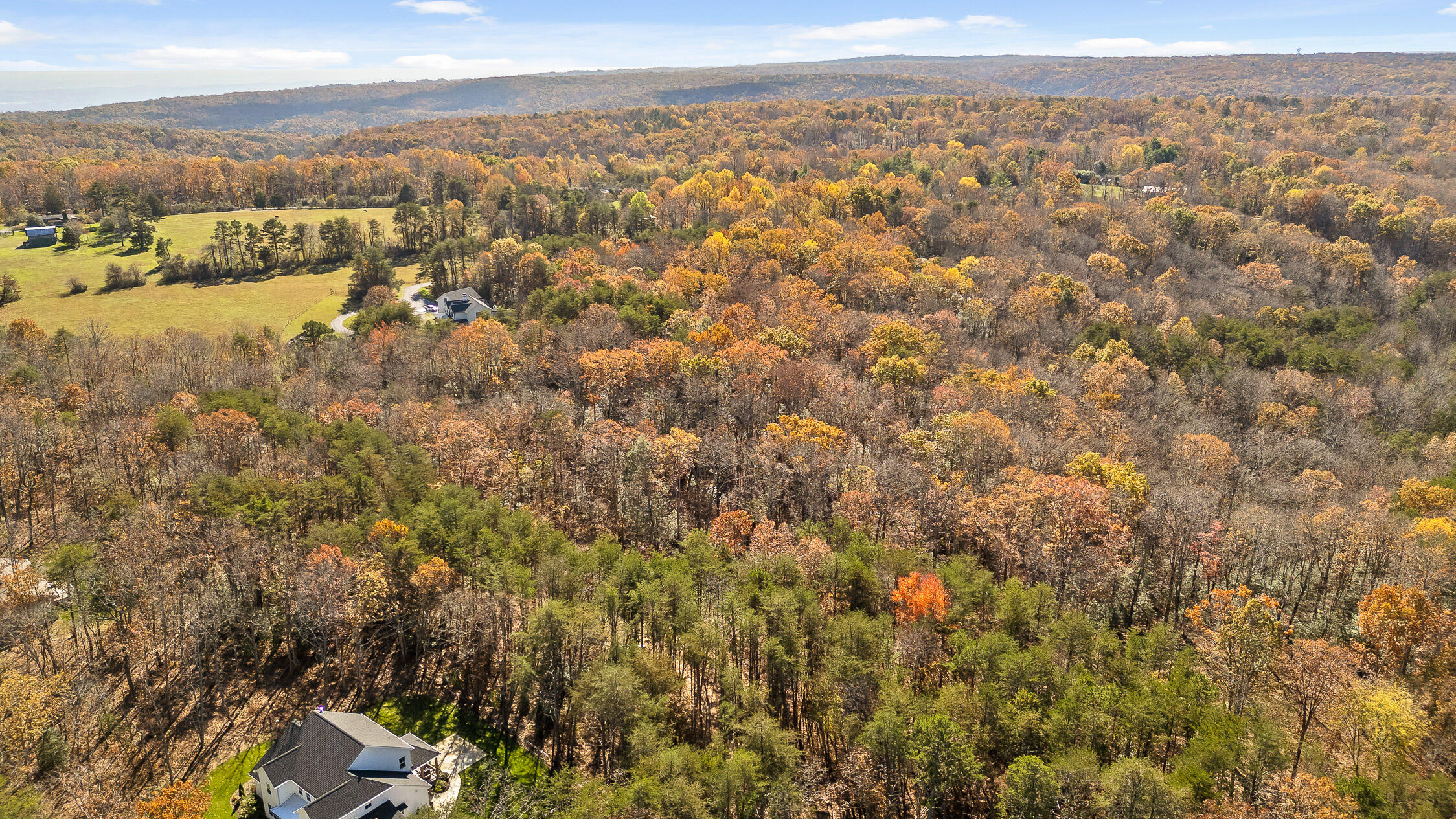 1805 Vandergriff Road, Signal Mountain, Tennessee image 16