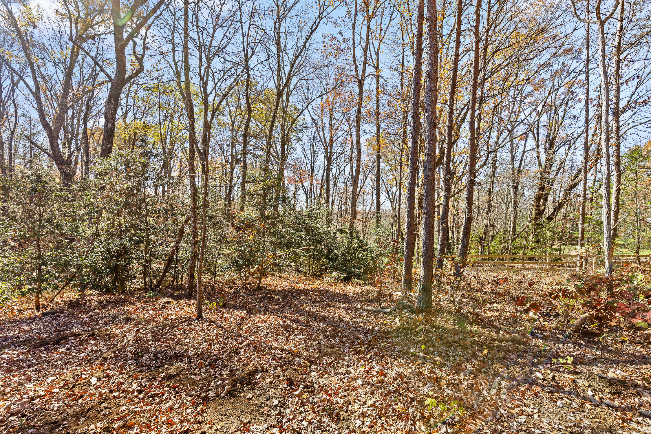 1805 Vandergriff Road, Signal Mountain, Tennessee image 6