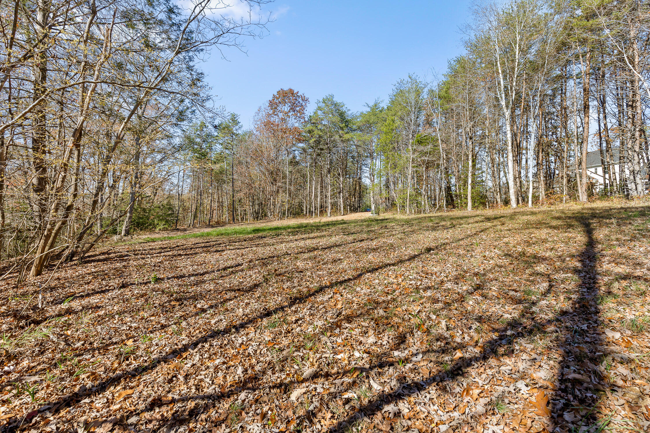 1805 Vandergriff Road, Signal Mountain, Tennessee image 10