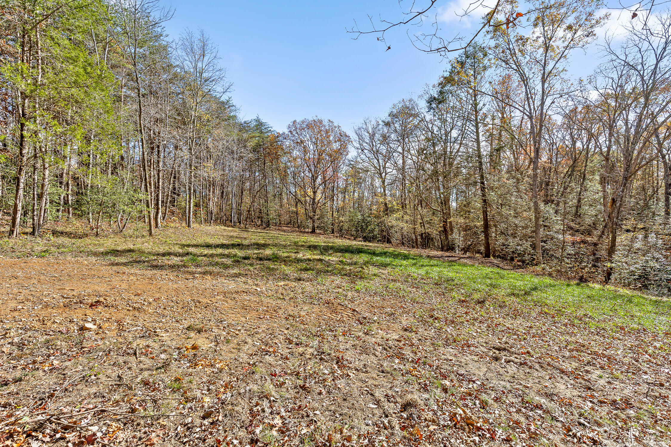 1805 Vandergriff Road, Signal Mountain, Tennessee image 5