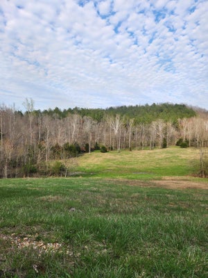 MILL DR 7, DECATUR, TN 37322 - Image b4e14b9b46fdb42256f8b05fe9a0488e/3038777099