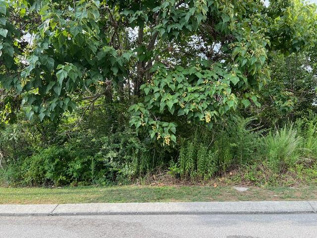 2124 Short Leaf Lane, Soddy Daisy, Tennessee image 2