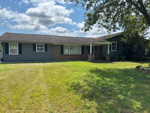 Photo of 430 Lakeview Drive, Spring City, TN 37381 (MLS # 1541278)