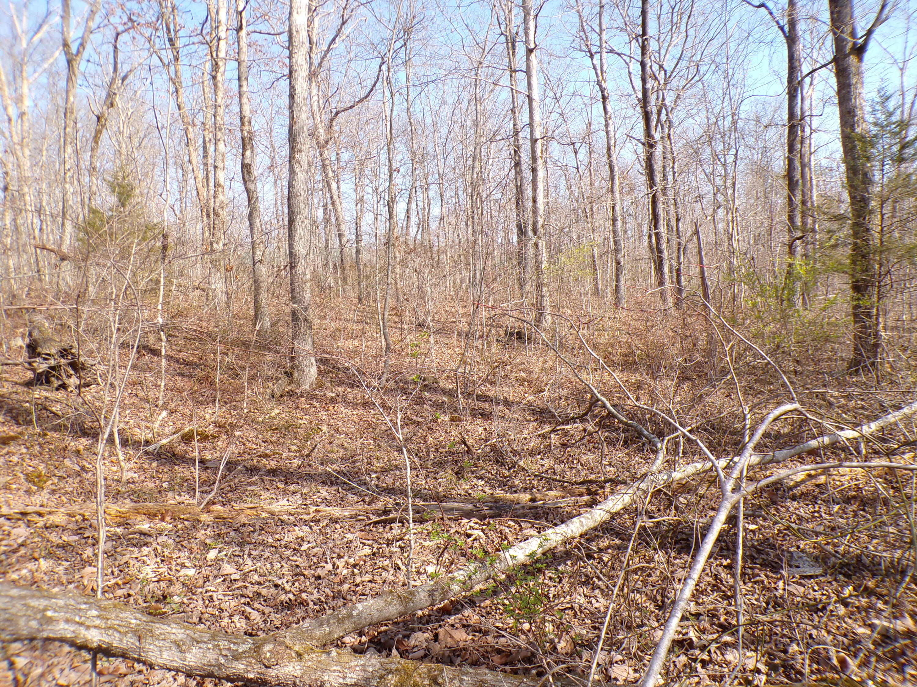 Timothy Drive #235, Crossville, Tennessee image 10