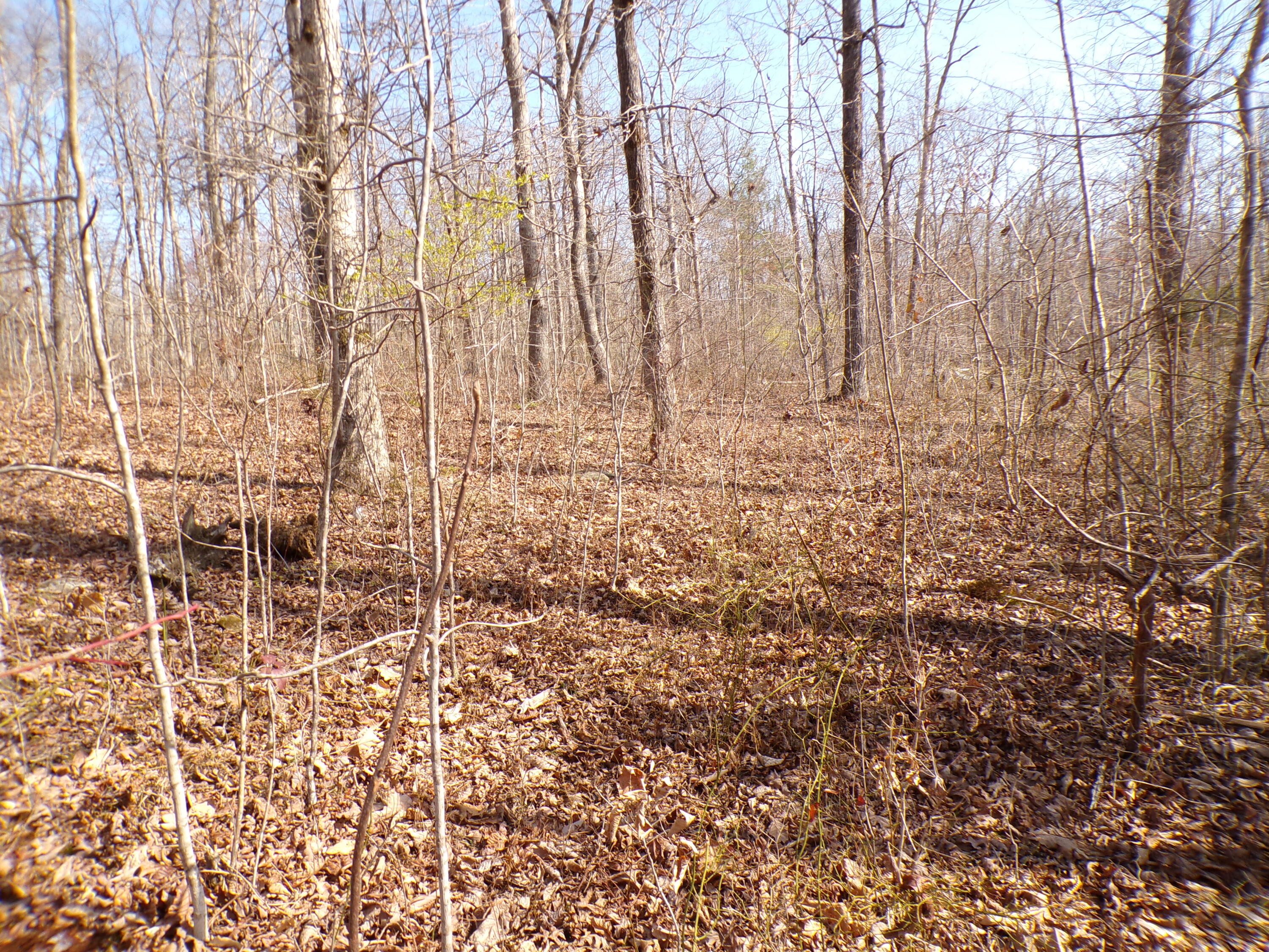 Timothy Drive #235, Crossville, Tennessee image 11