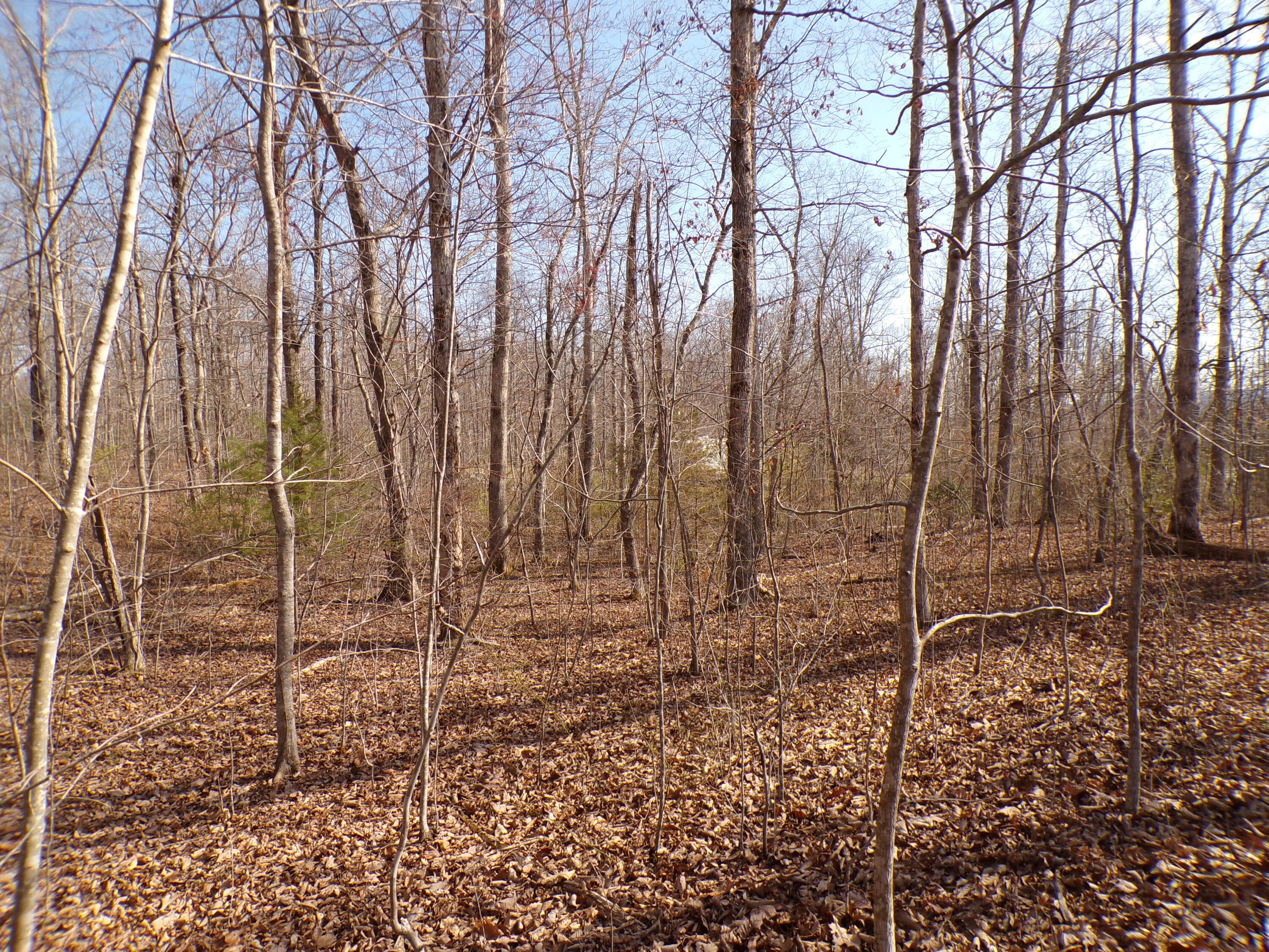 Timothy Drive #235, Crossville, Tennessee image 7