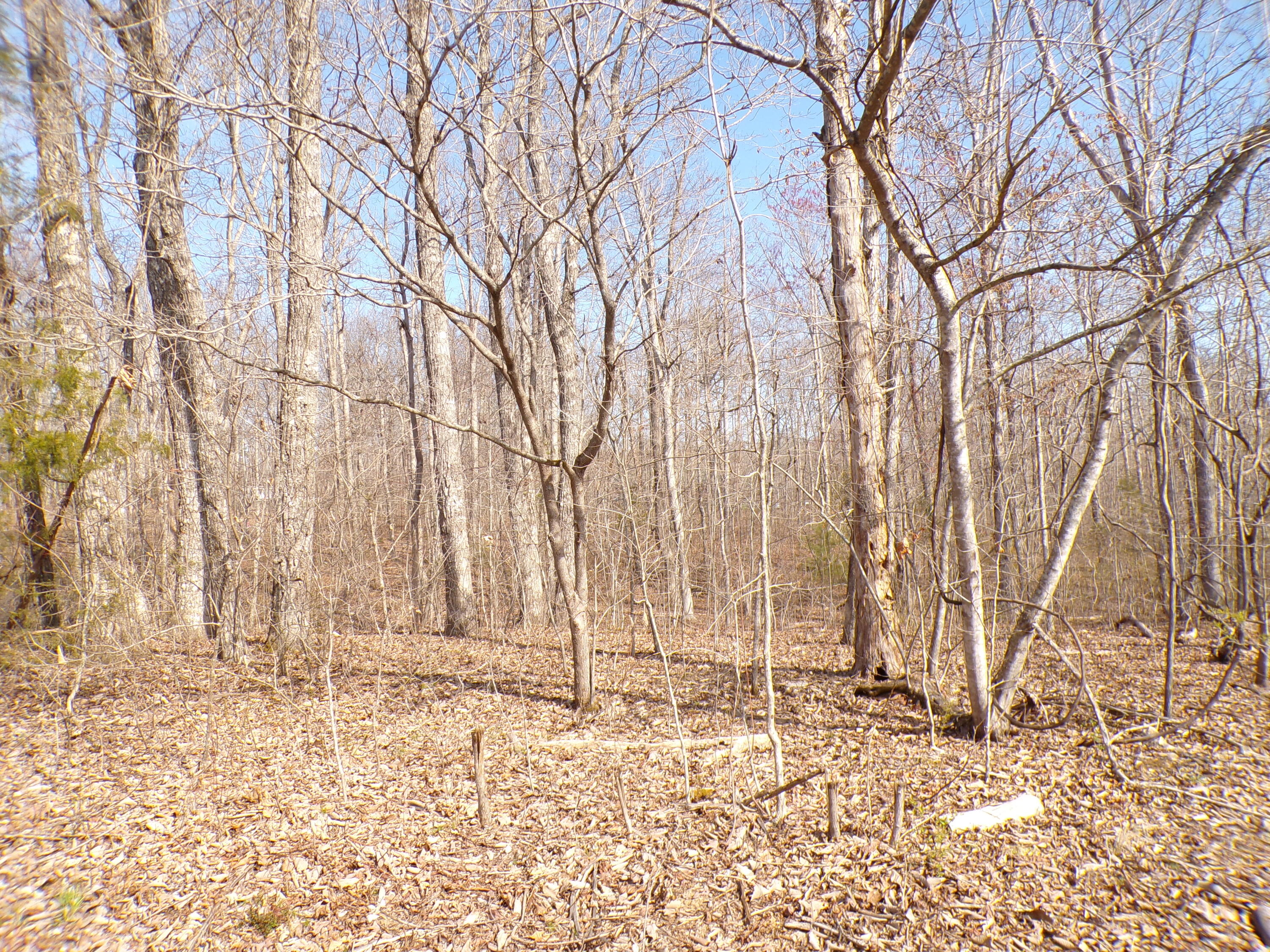 Timothy Drive #235, Crossville, Tennessee image 5