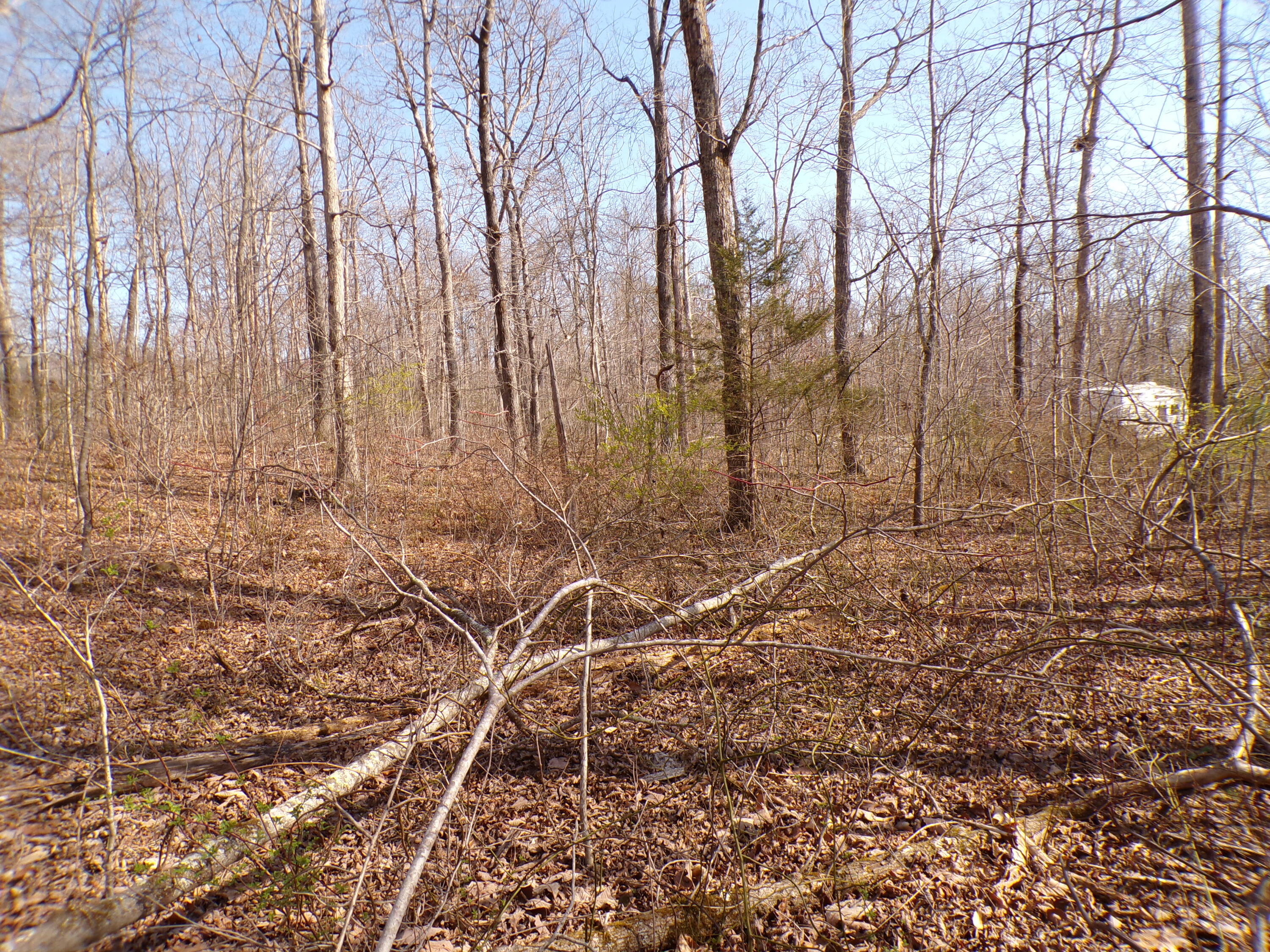 Timothy Drive #235, Crossville, Tennessee image 9