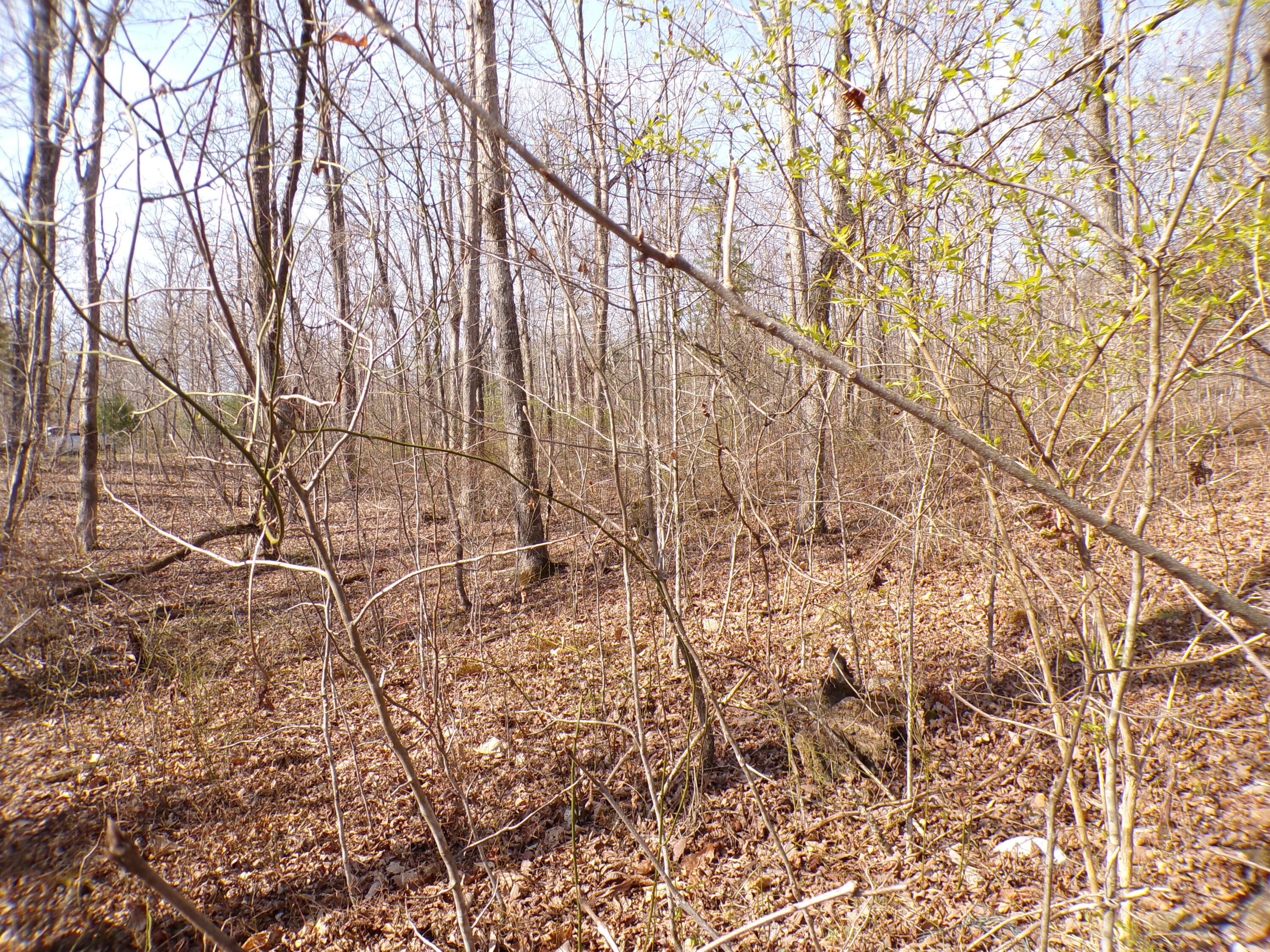 Timothy Drive #235, Crossville, Tennessee image 15