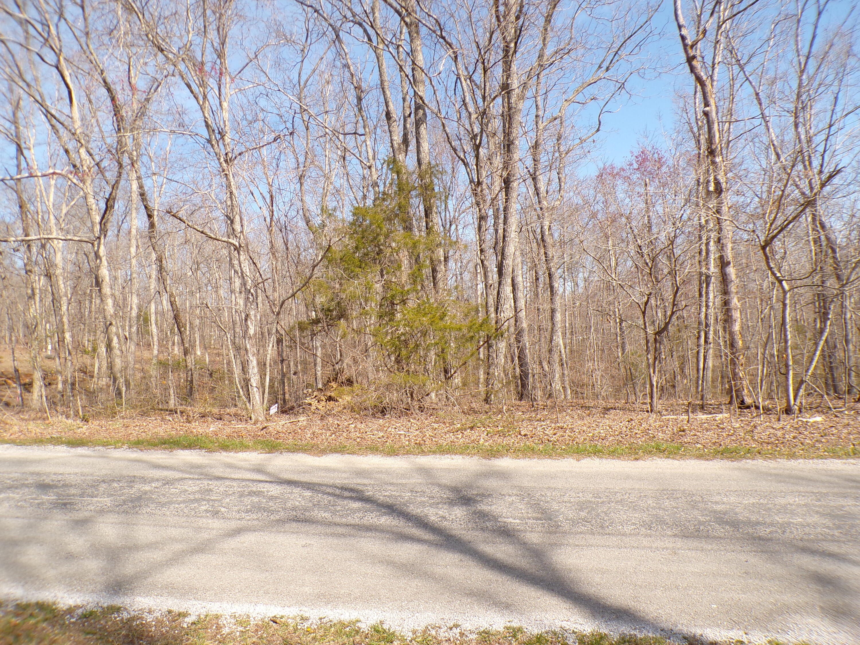 Timothy Drive #235, Crossville, Tennessee image 19