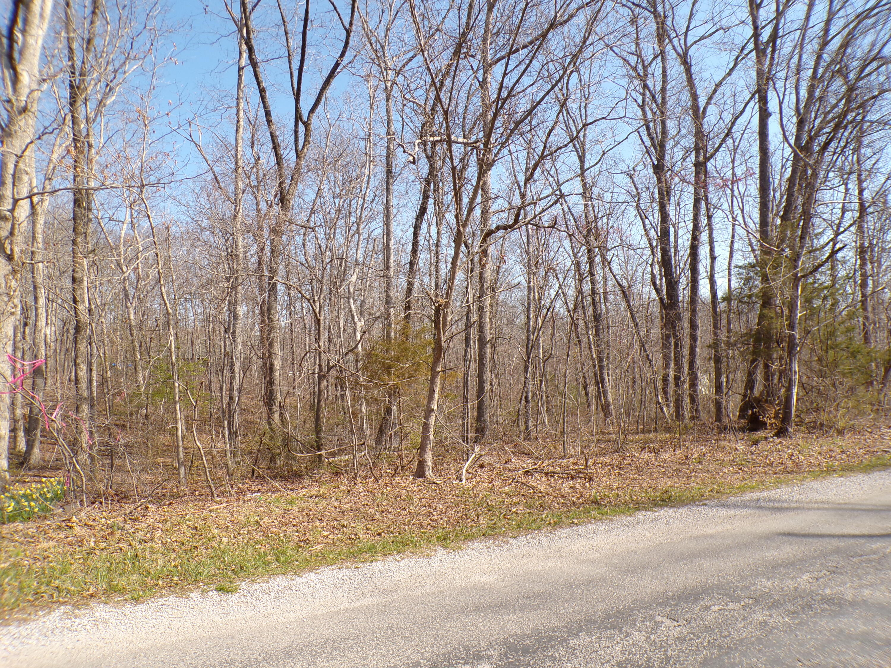 Timothy Drive #235, Crossville, Tennessee image 3