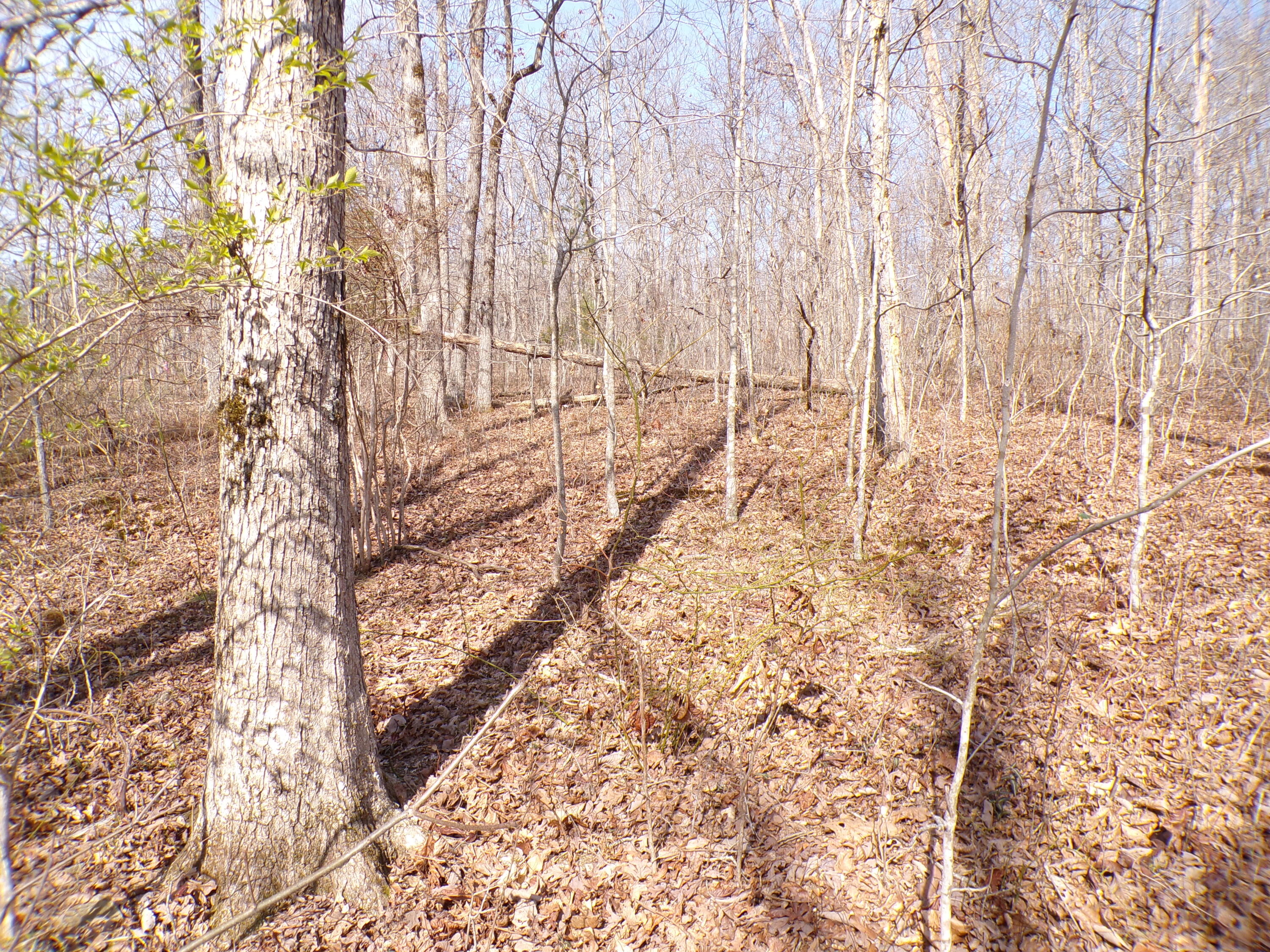 Timothy Drive #235, Crossville, Tennessee image 14